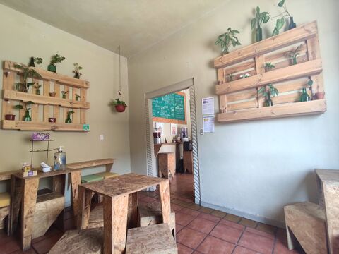 Veggie image 7