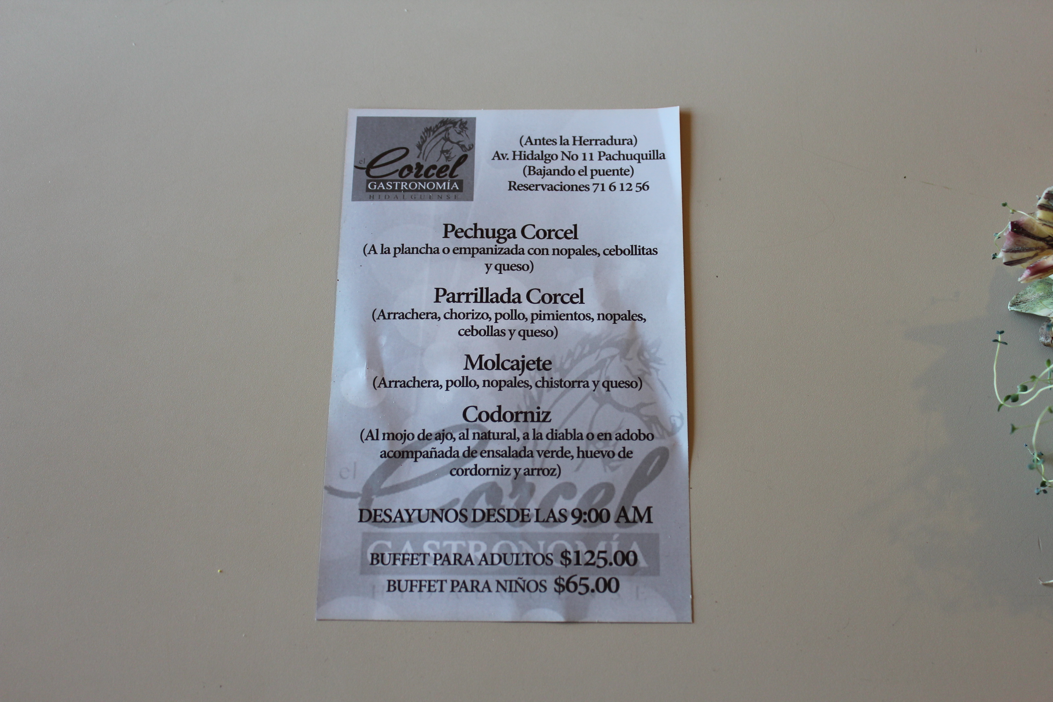 El Corcel Salón image 10