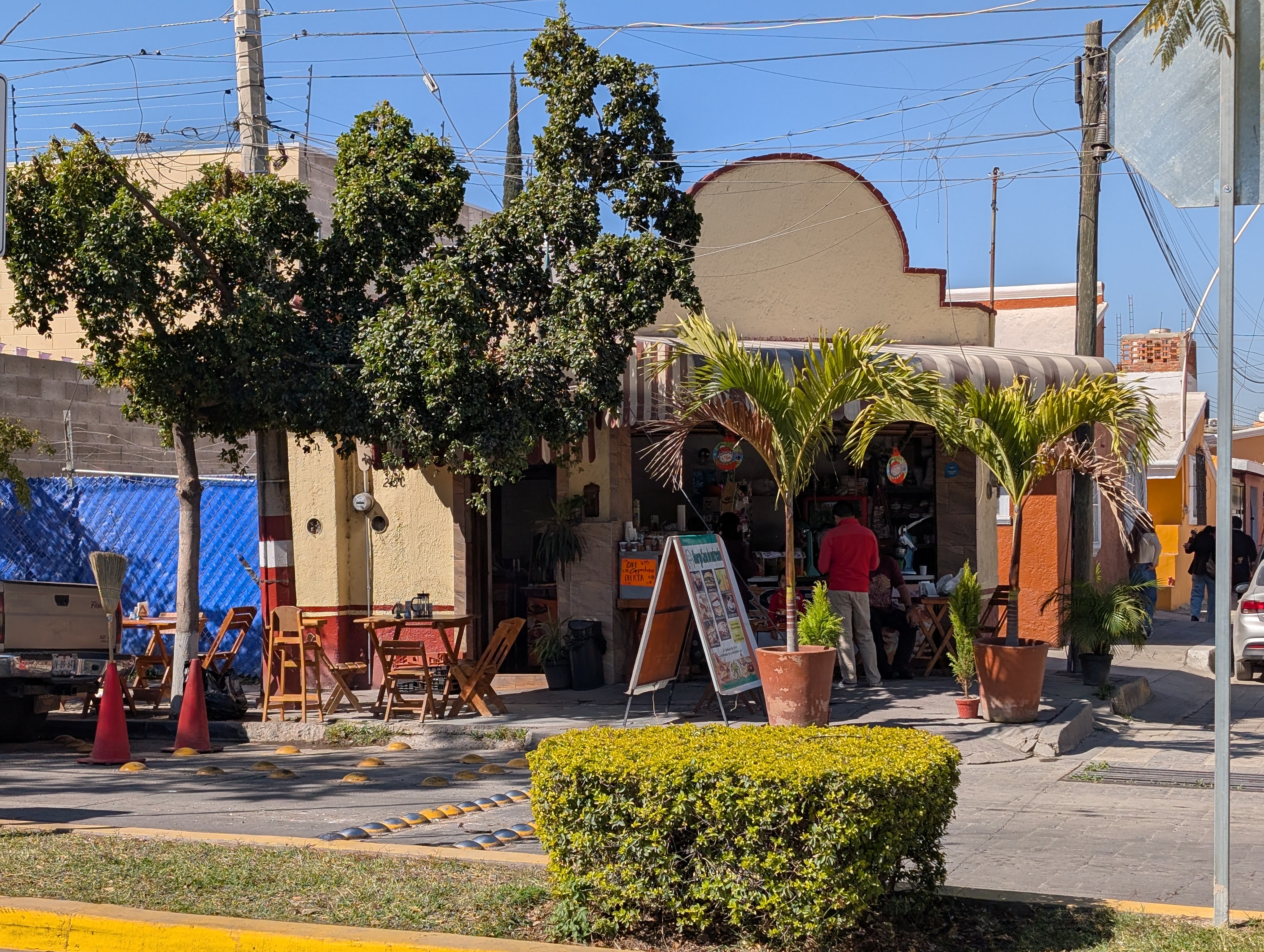 George casa de nutrition image 3