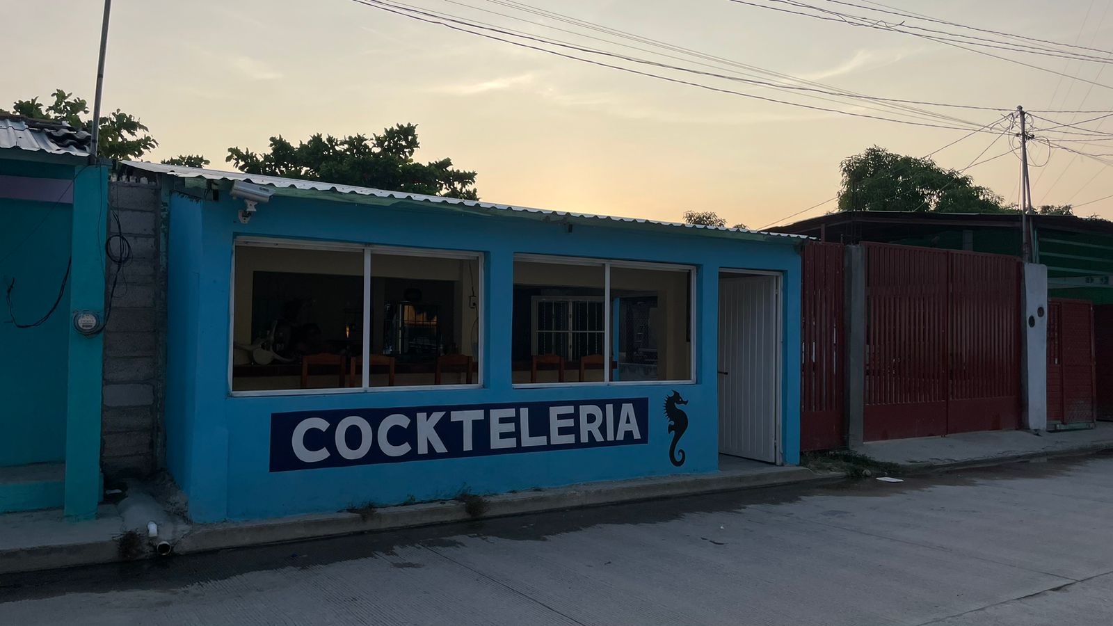 Cockteleria caballito de Mar image 1