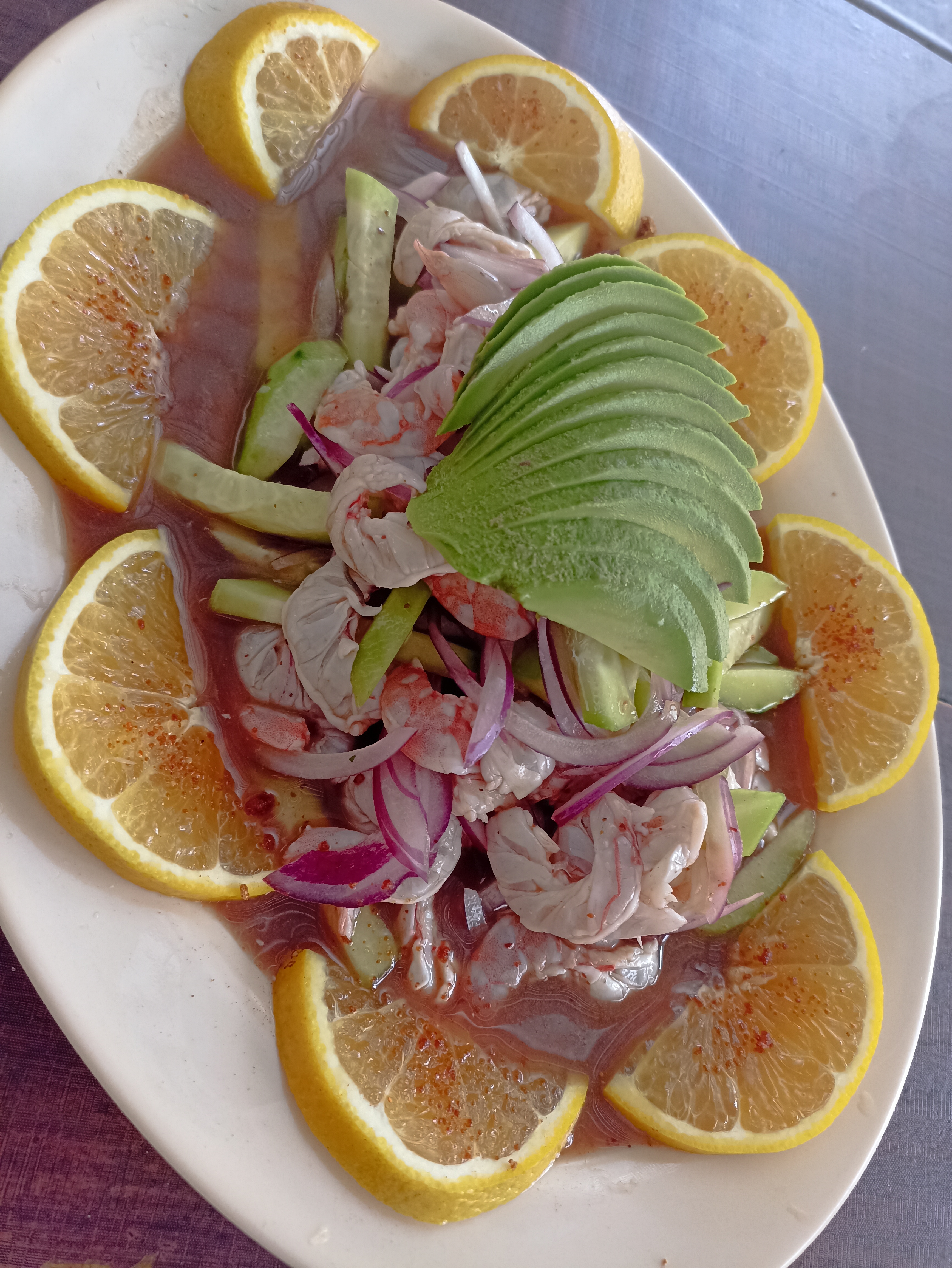 Cockteleria caballito de Mar image 2