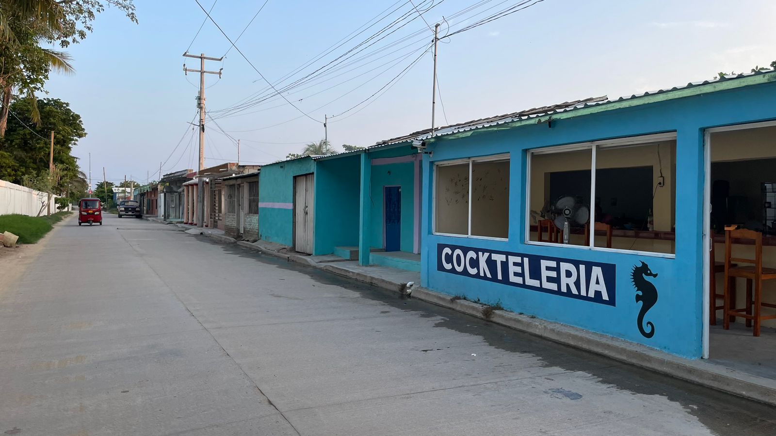 Cockteleria caballito de Mar image 3