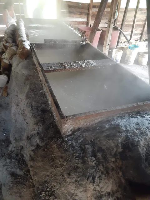La Salinita image 3