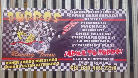 Burros Racing image 4