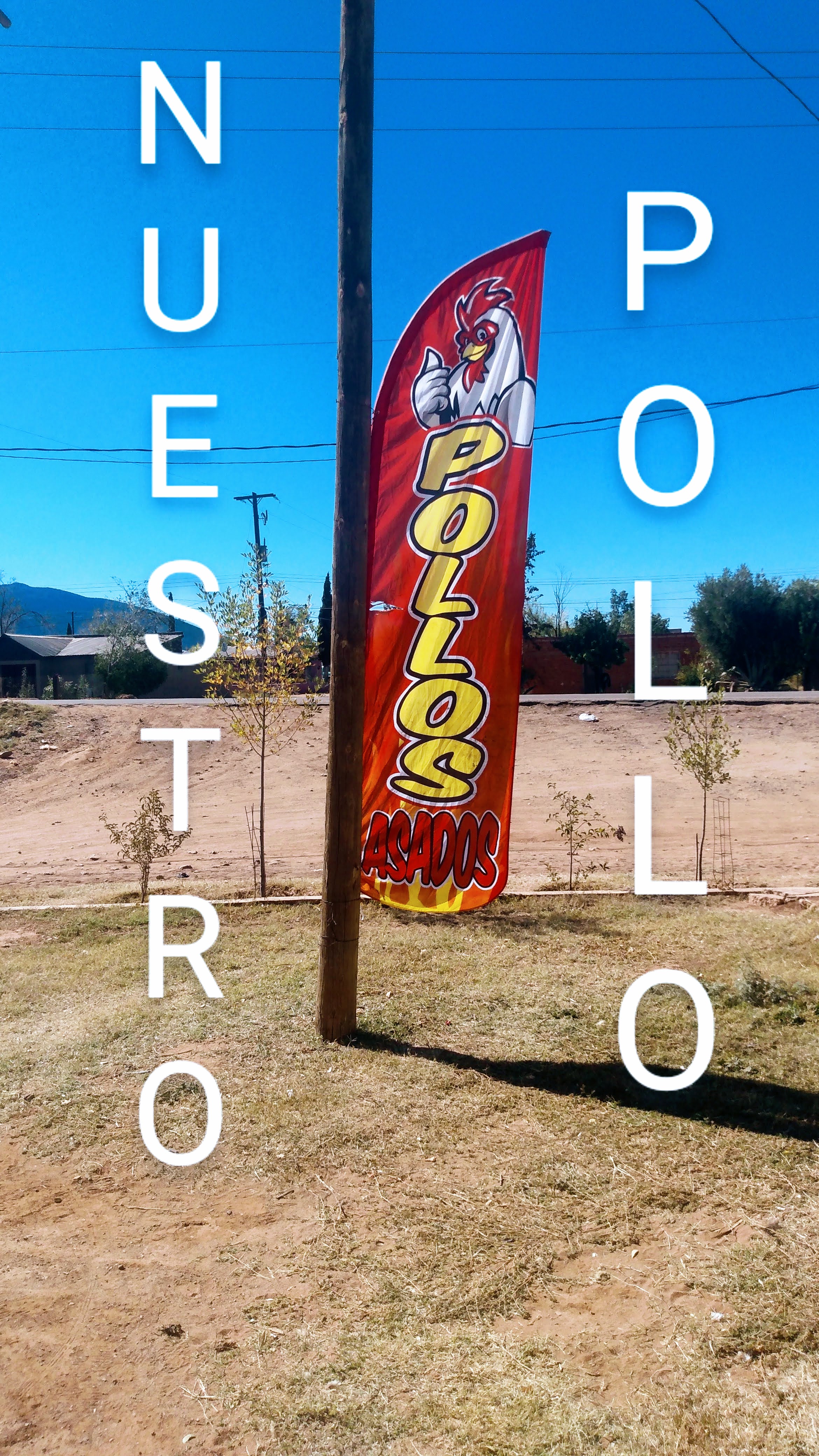 NUESTRO POLLO image 10