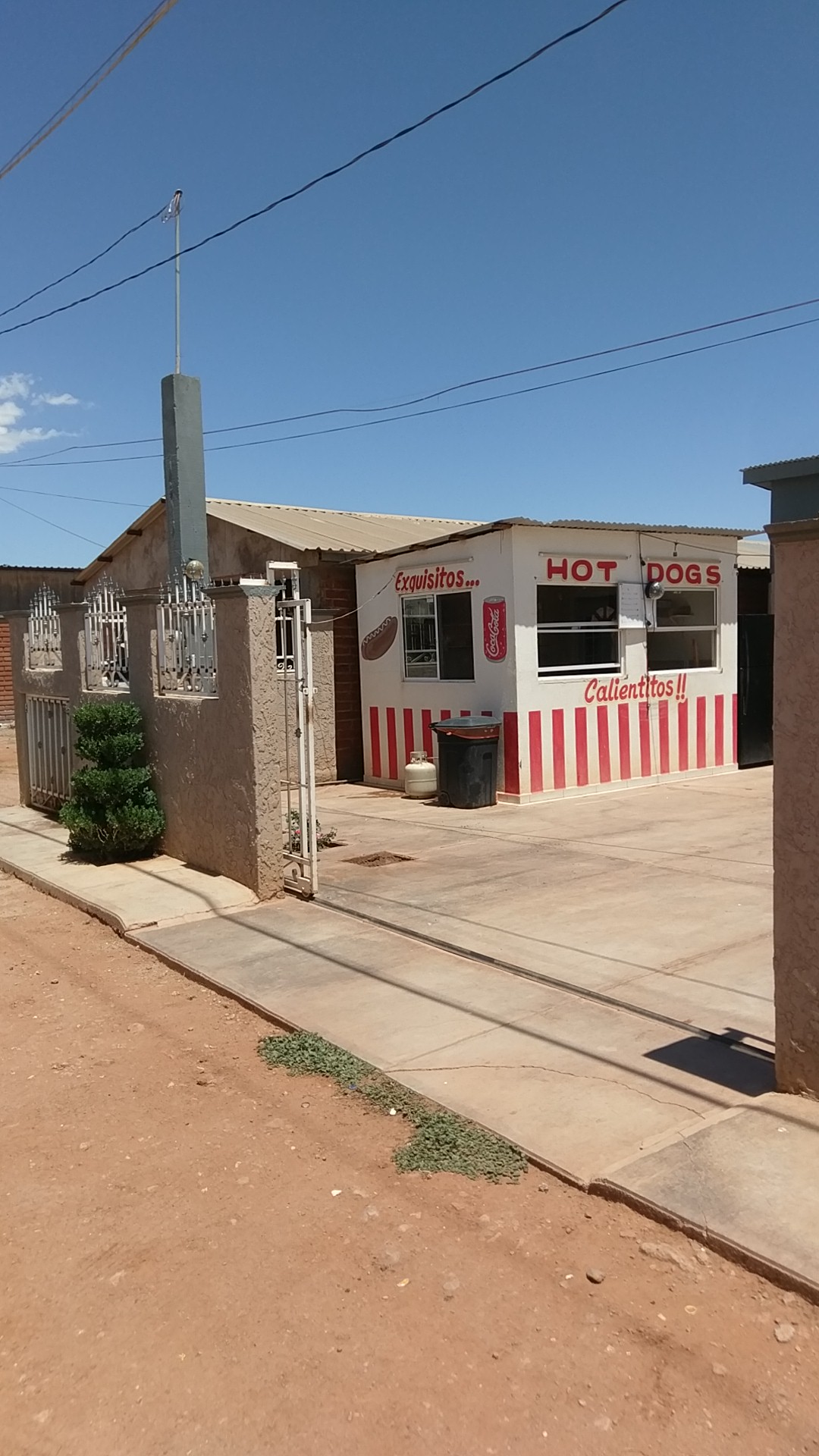 Hot dog's Brisseida image 1