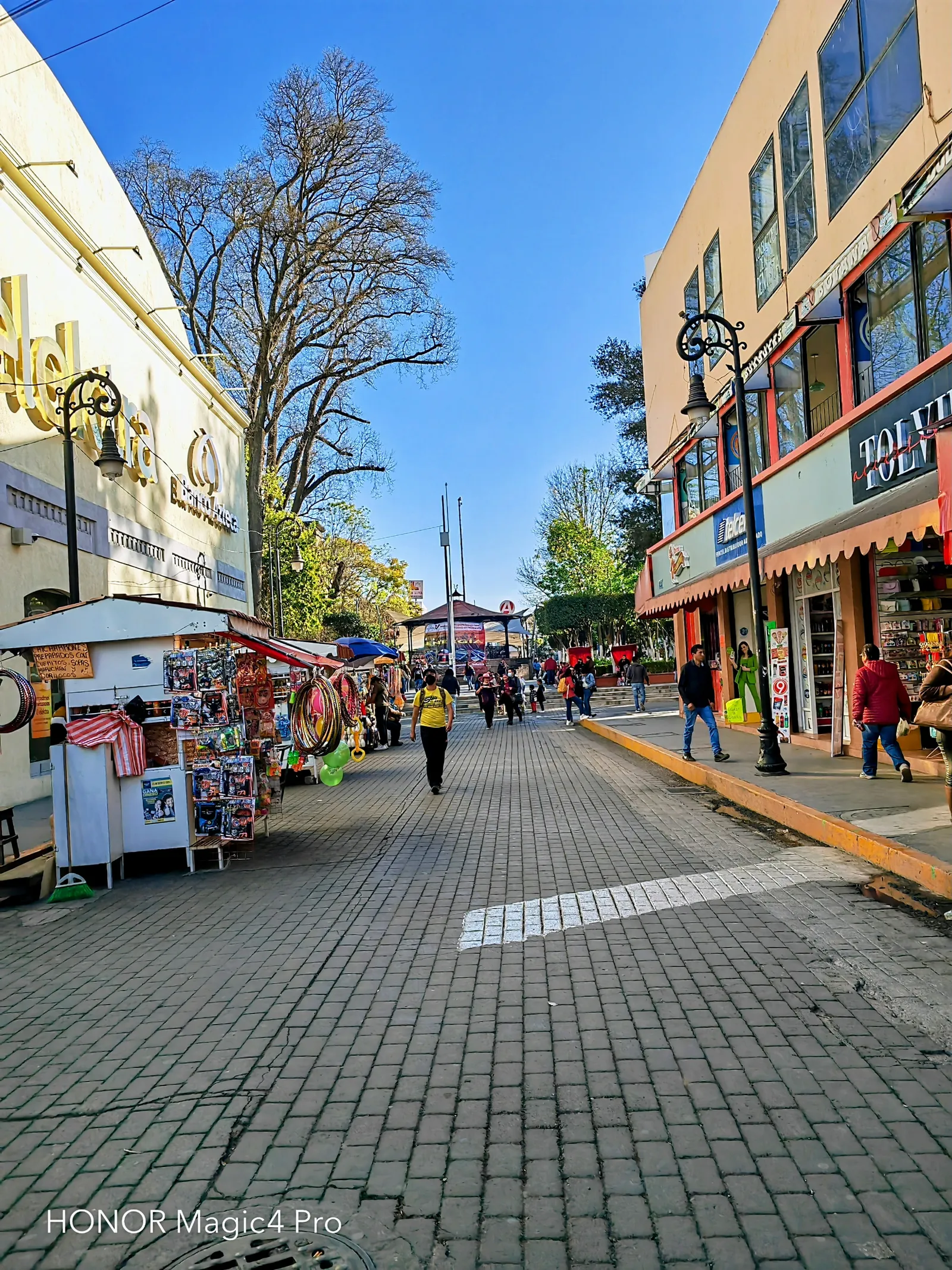 La Floresta image 3