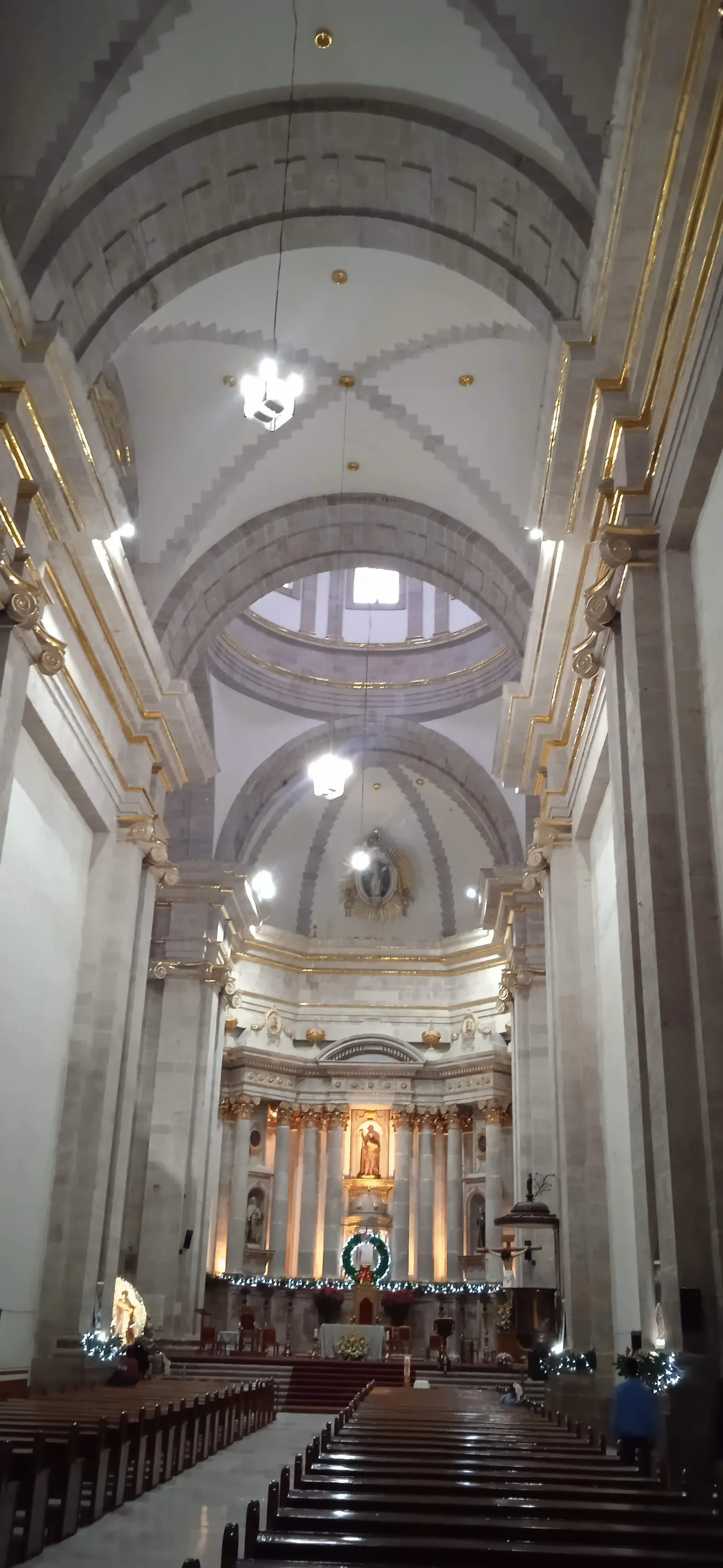 La Floresta image 9