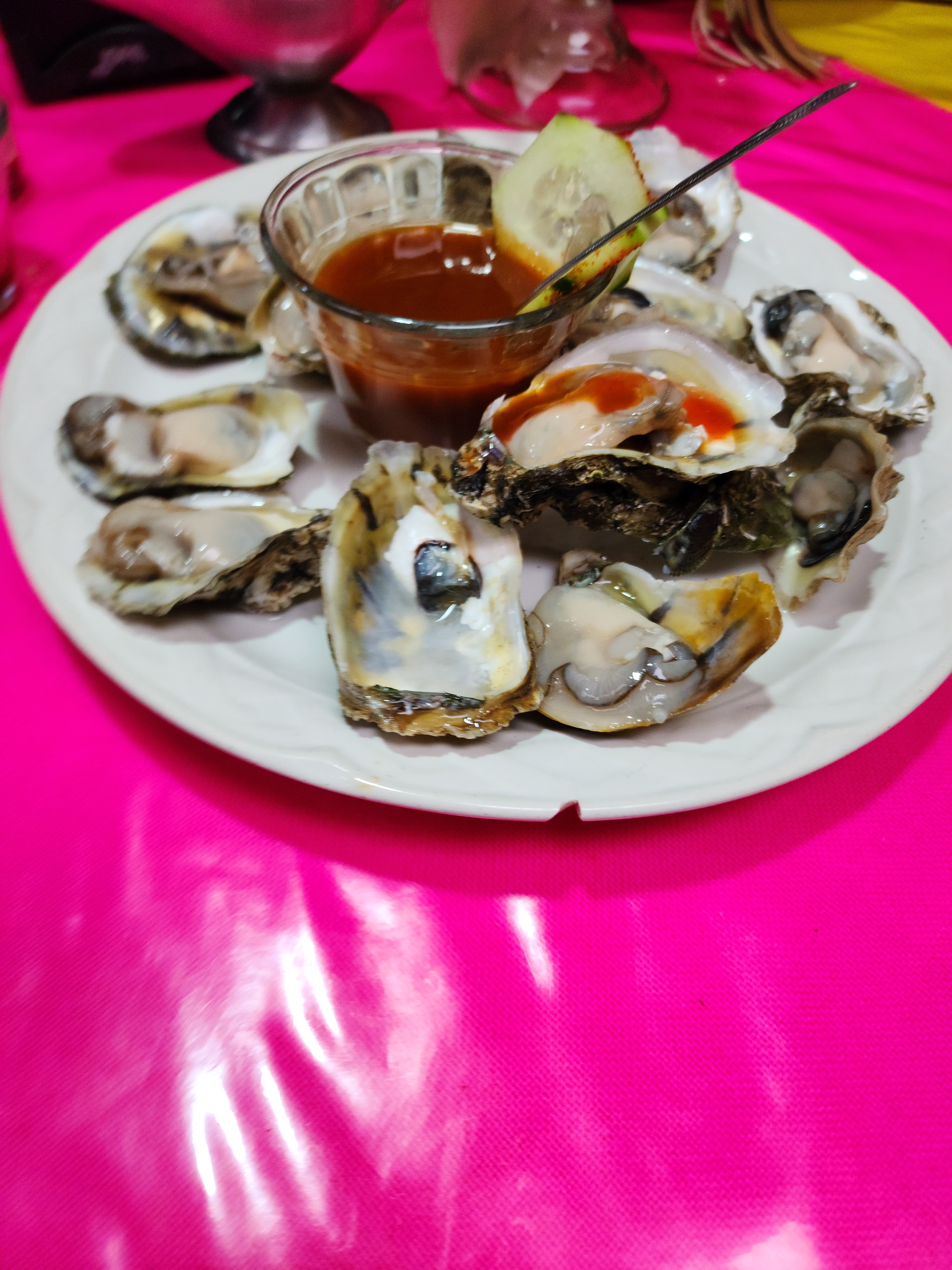 El Encanto Jarocho image 6