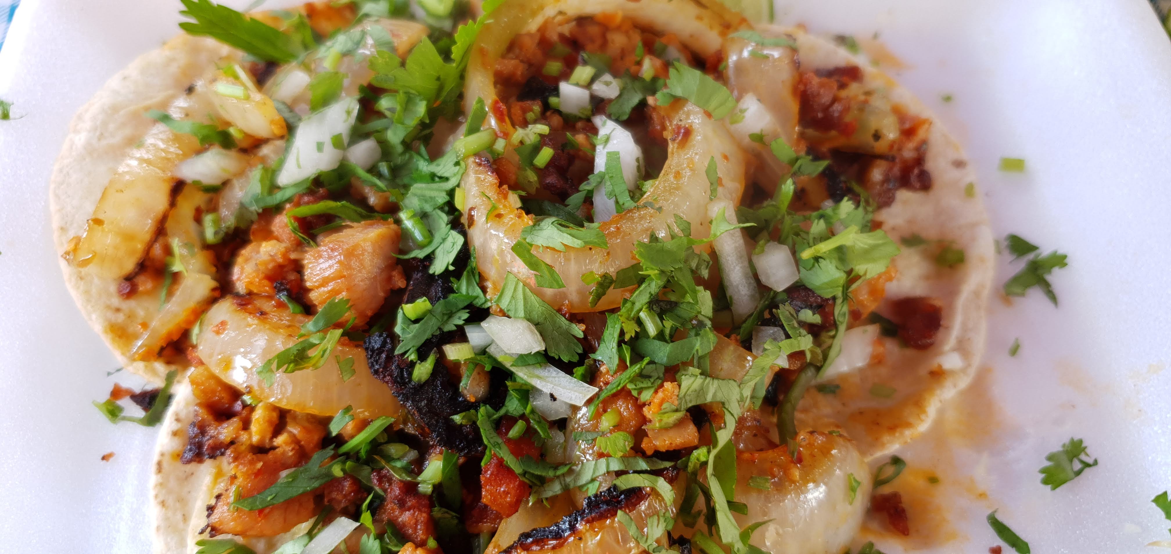 Taquería el Tizoncito image 4