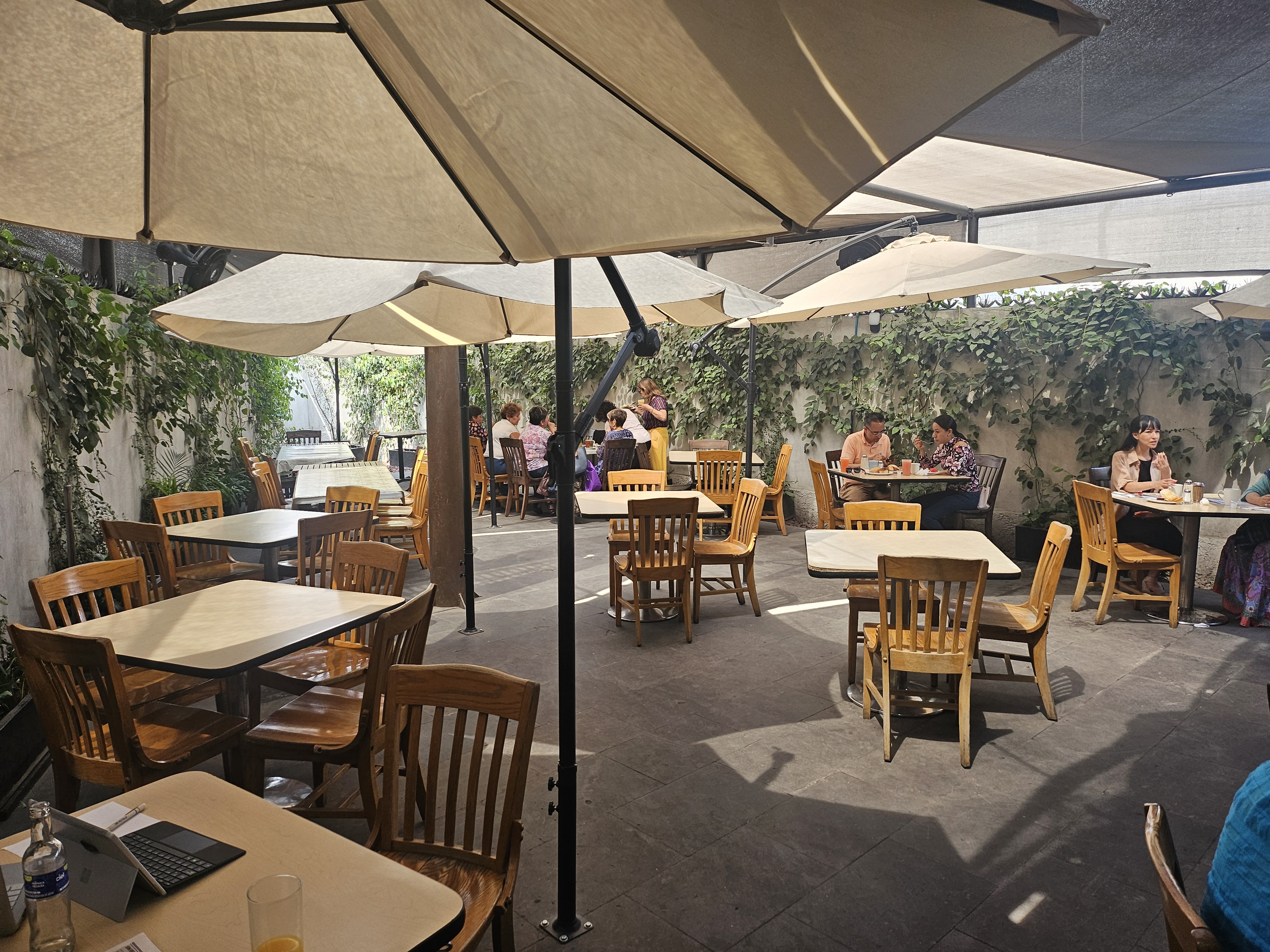 Lynis Lindavista image 1