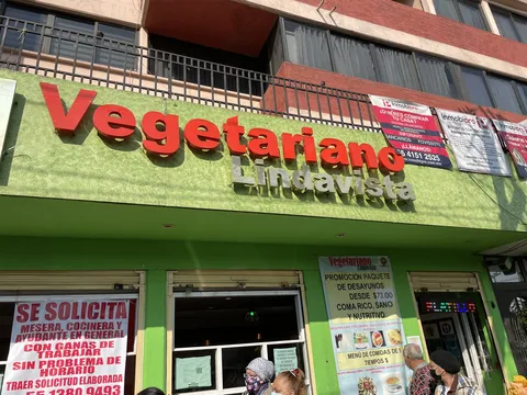 Vegetariano image 5