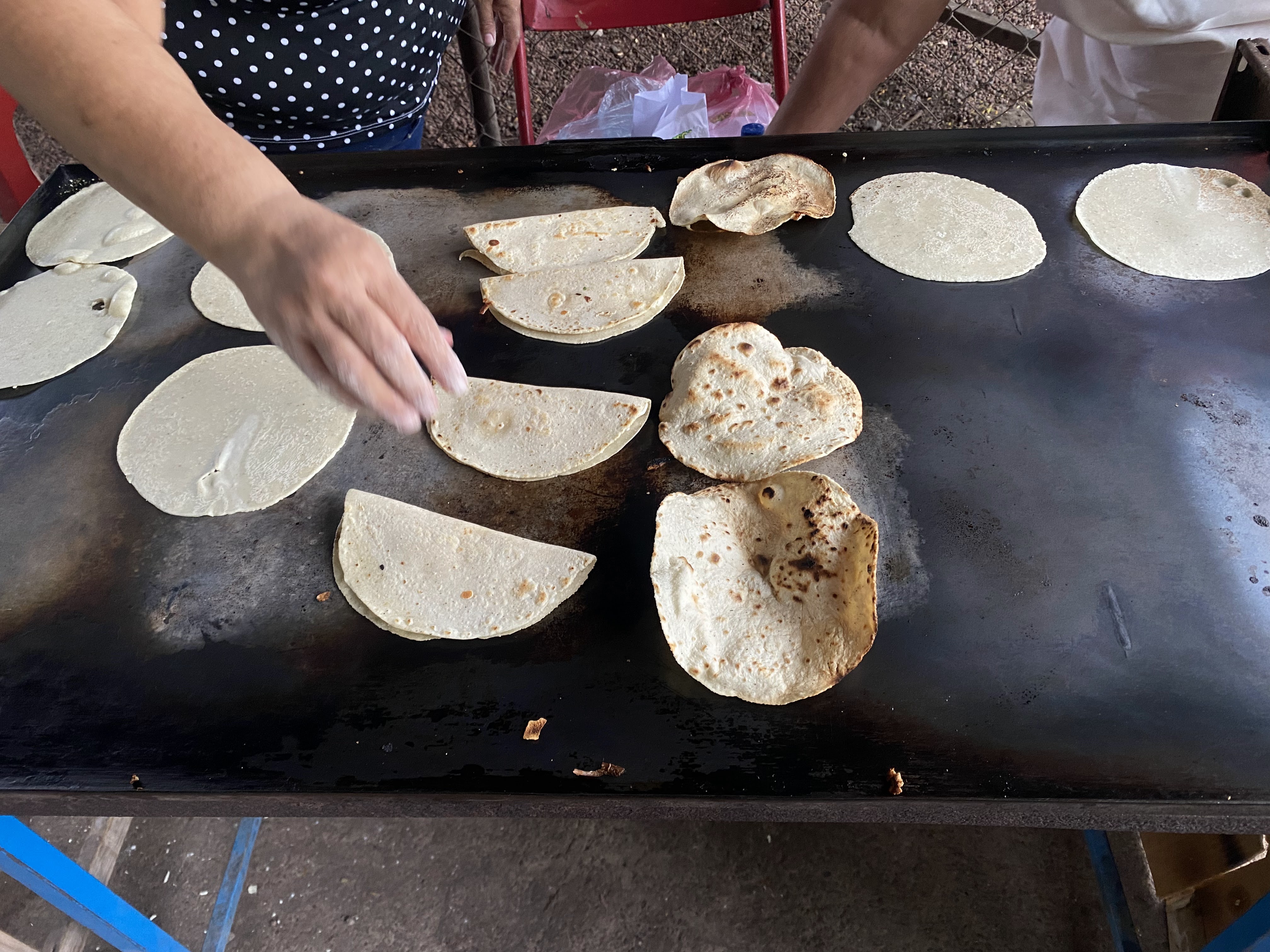 TAQUERIA GERARDO’S image 4