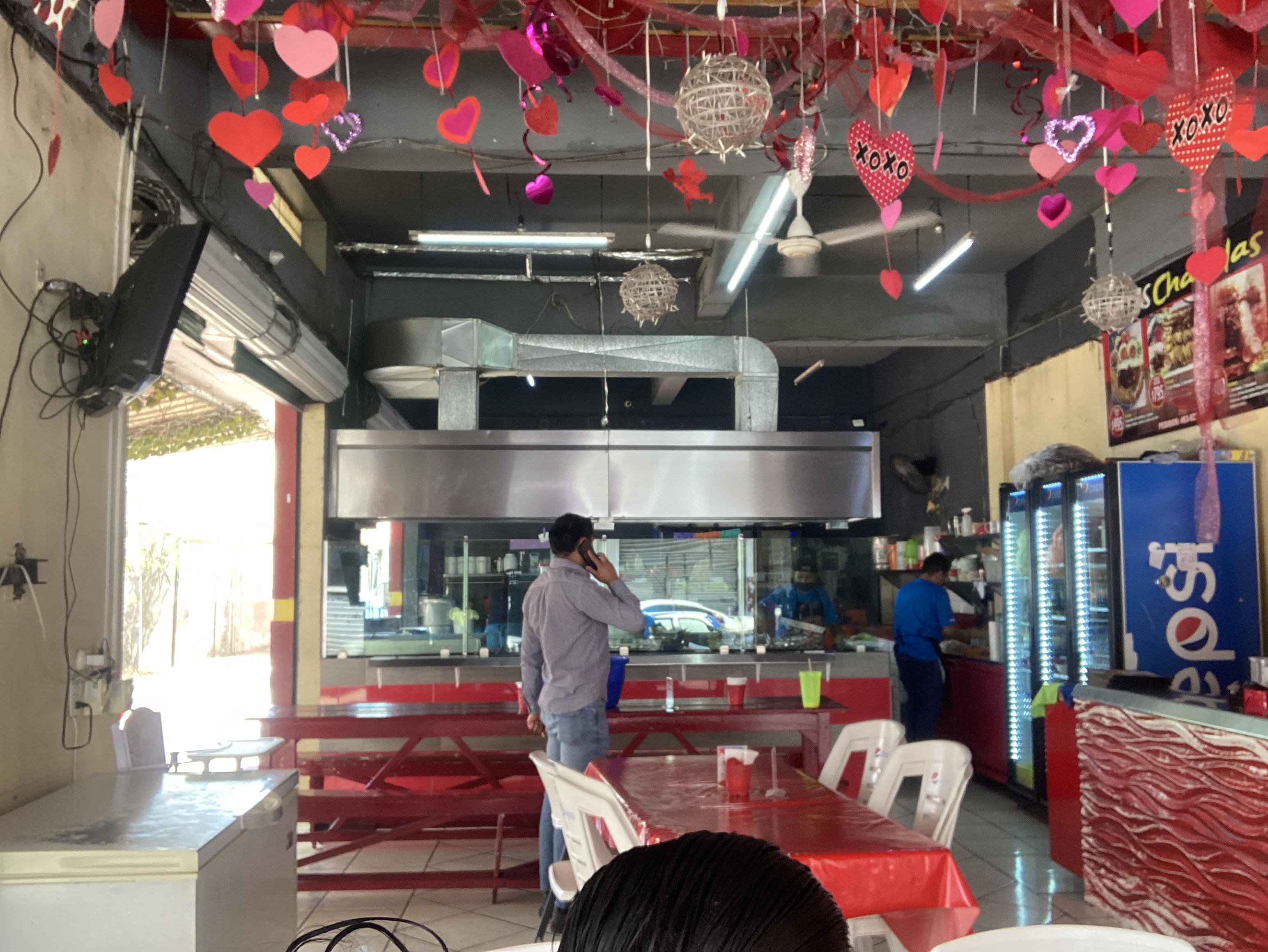 Enchiladas Y Doraditos Mary image 4