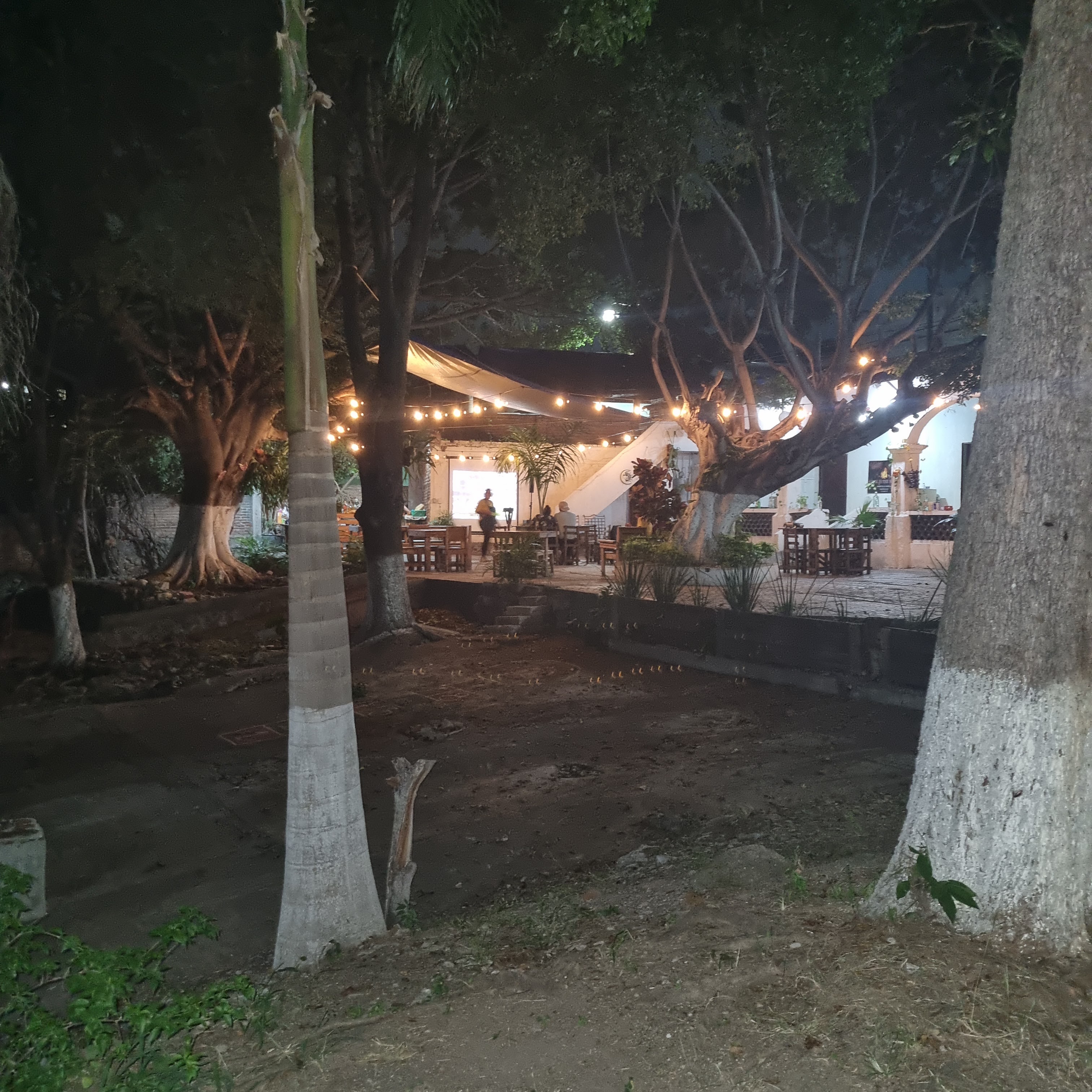 La Oficina Bar & Grill image 5