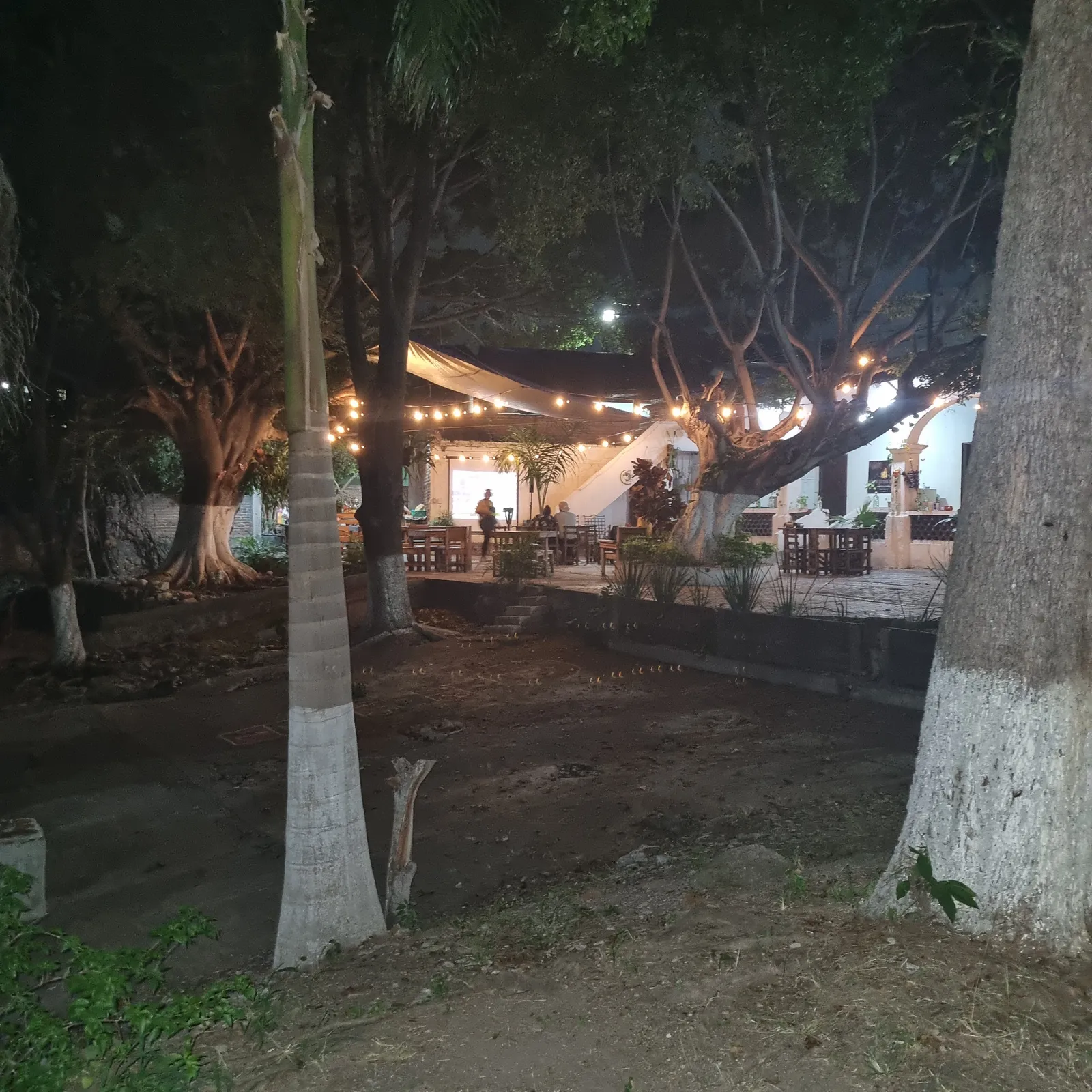 La Oficina Bar & Grill image 5
