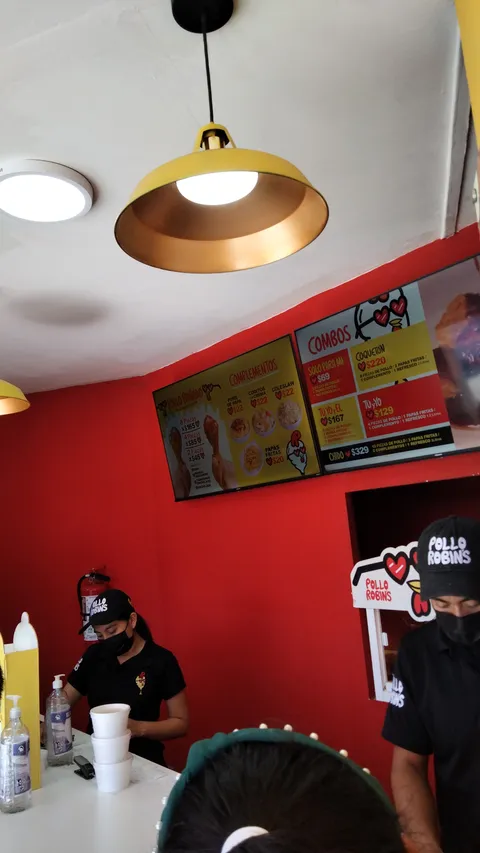 Pollo Robins image 2