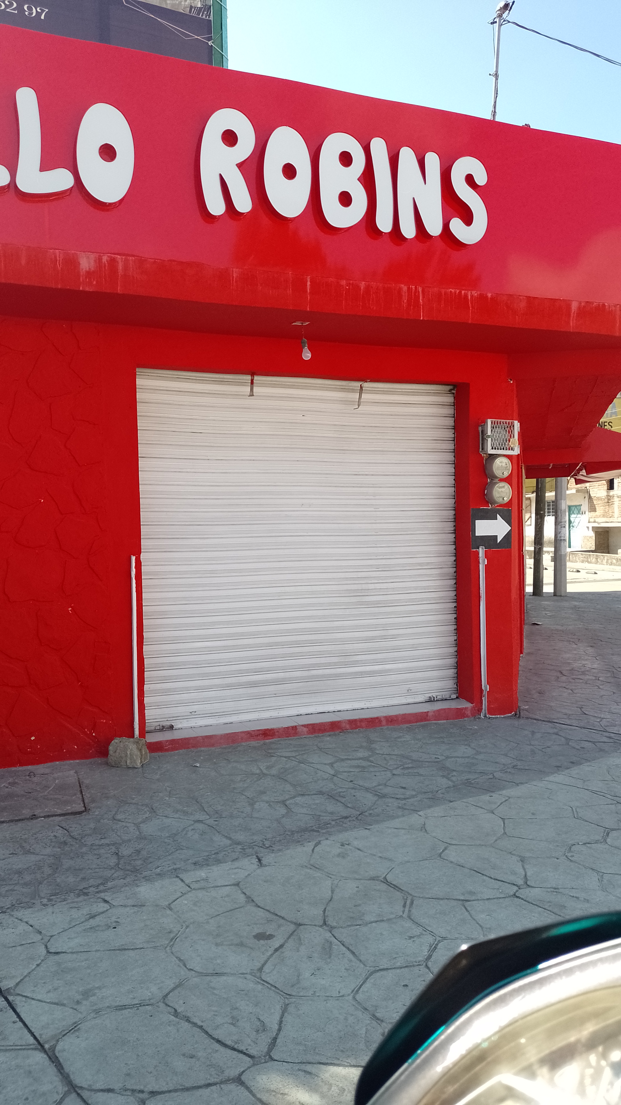 Pollo Robins image 3