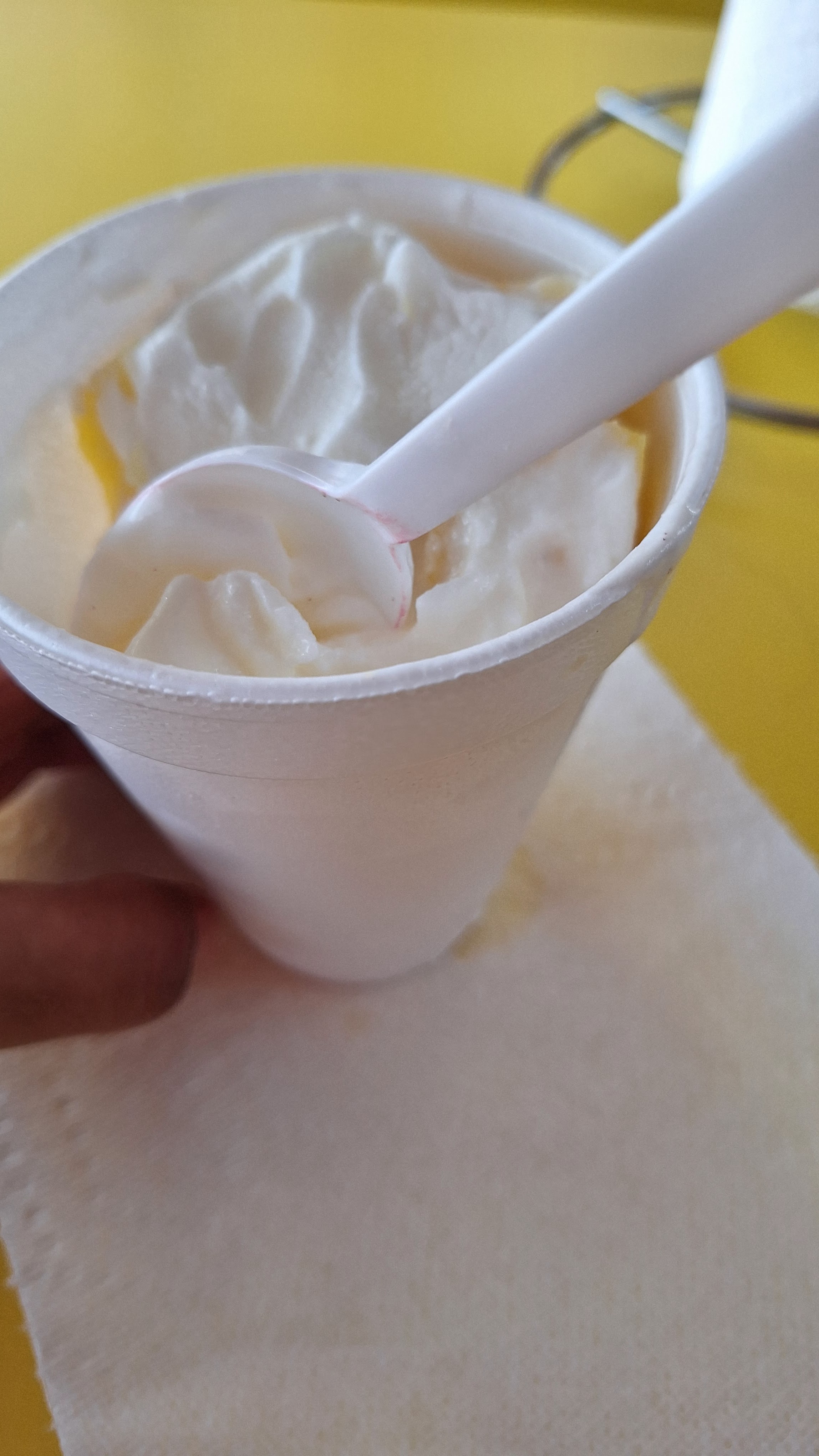 Yogurt Natural Santa Fé image 4