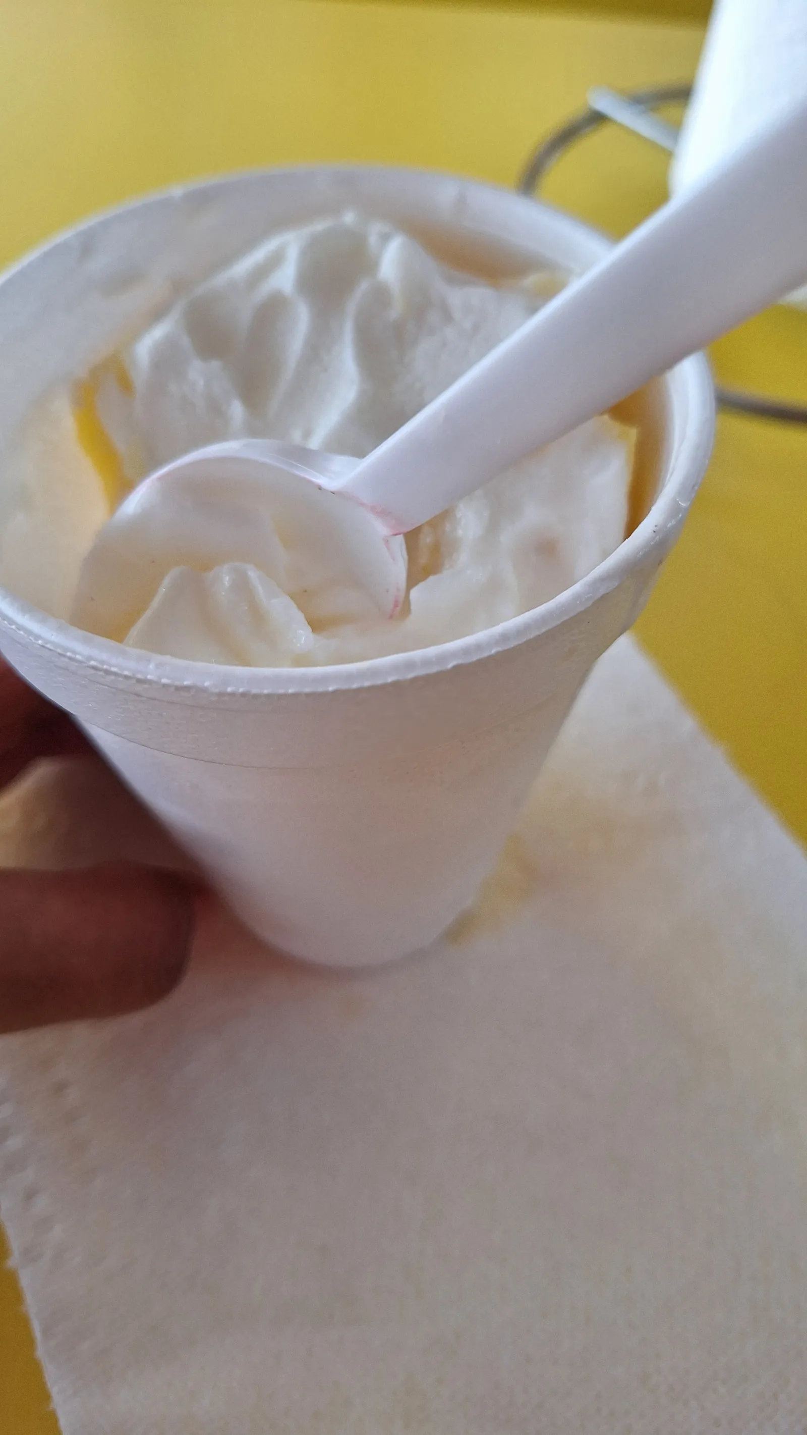 Yogurt Natural Santa Fé image 4