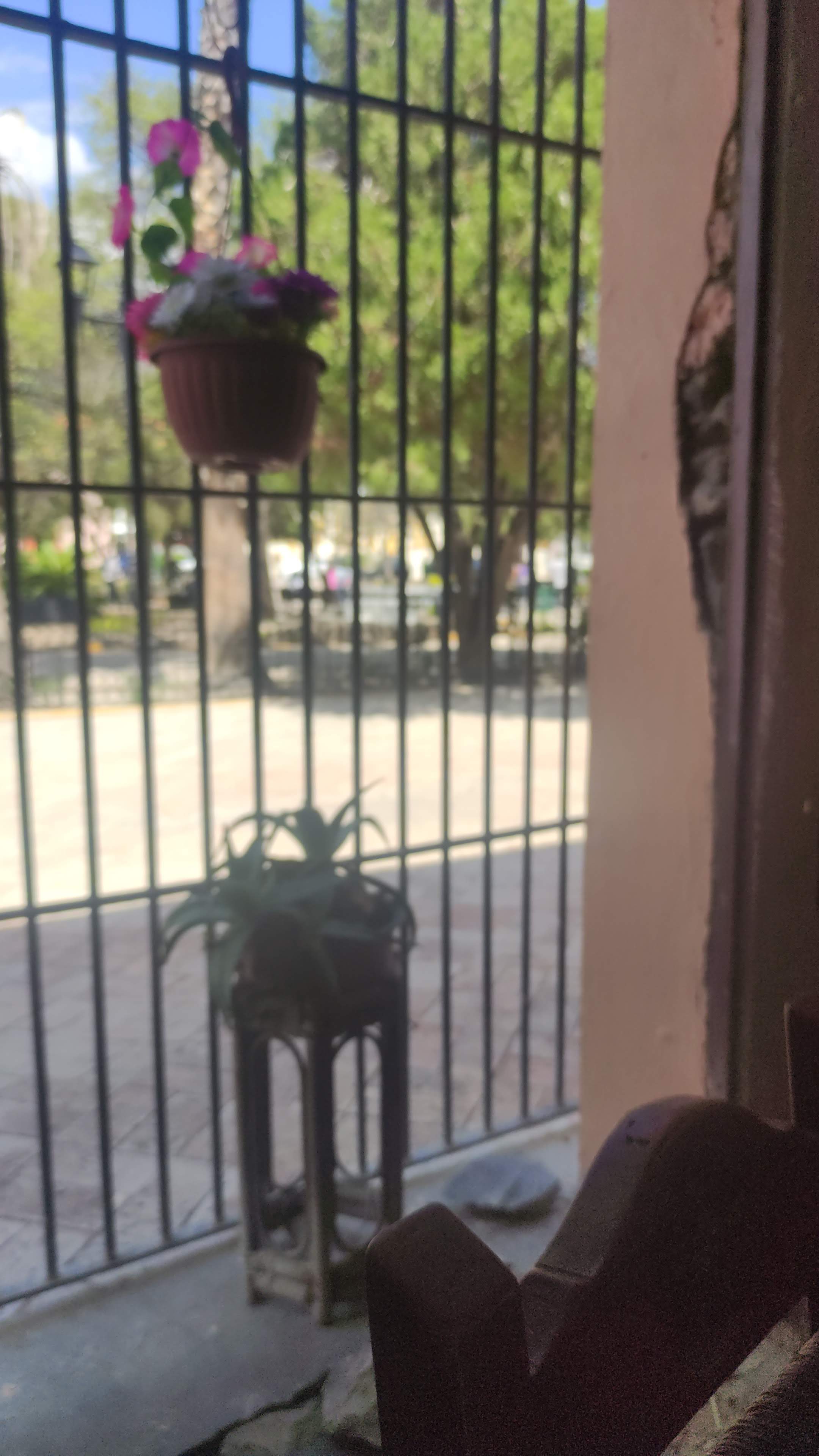 Taquería El Primo image 5