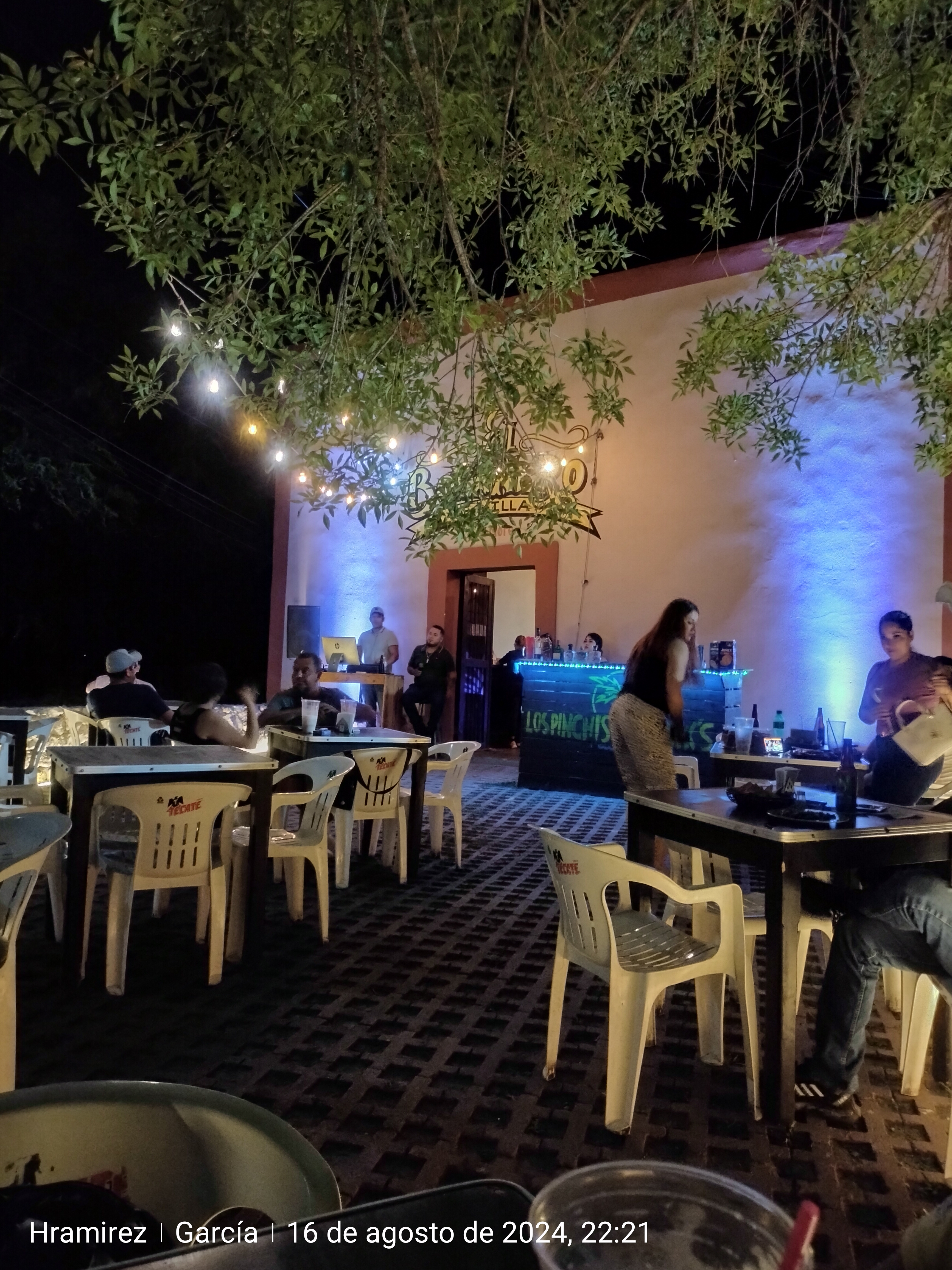 El Botanero De Villa & More image 3