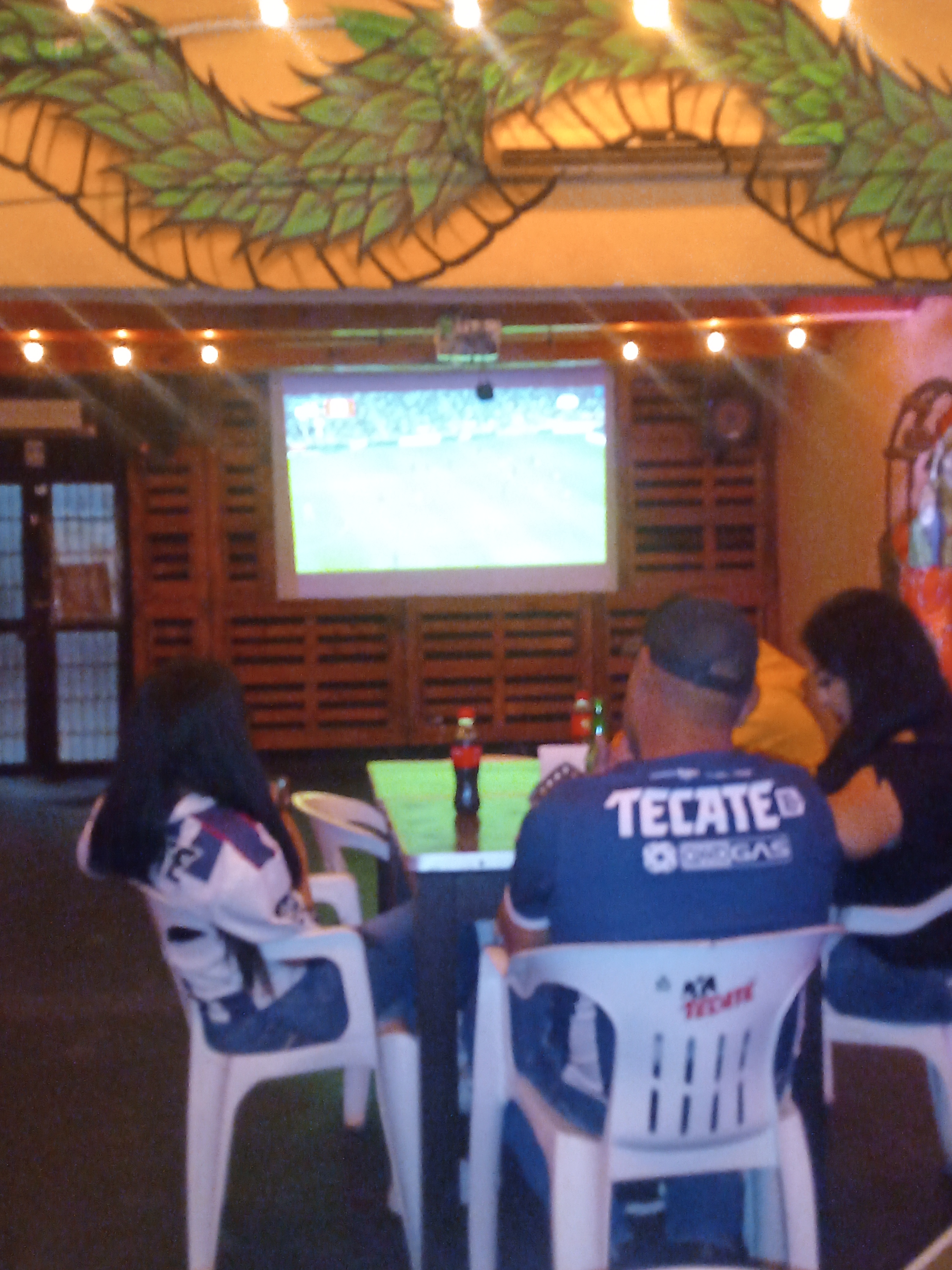 El Botanero De Villa & More image 5