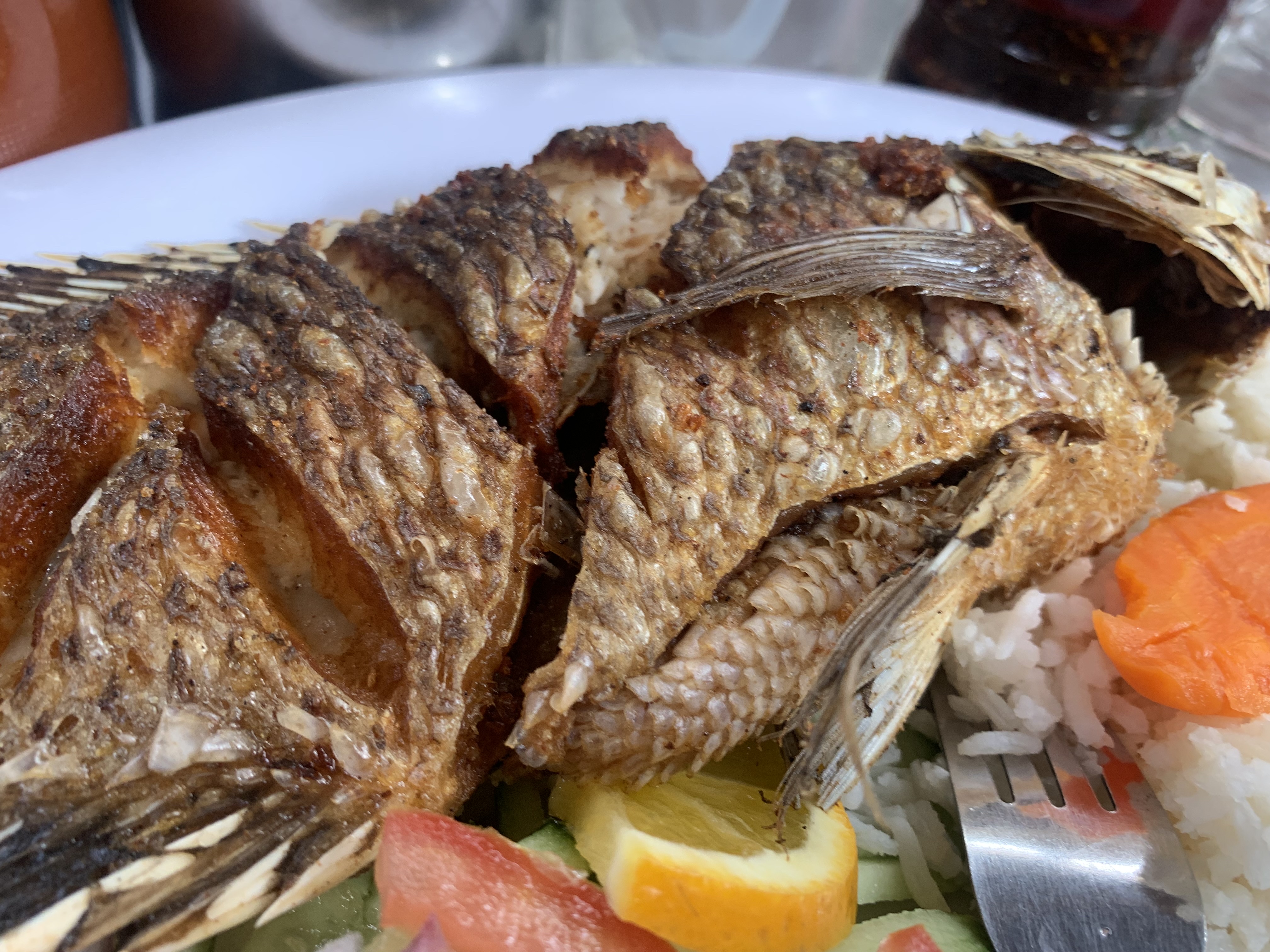 La Costa Nayarita image 10