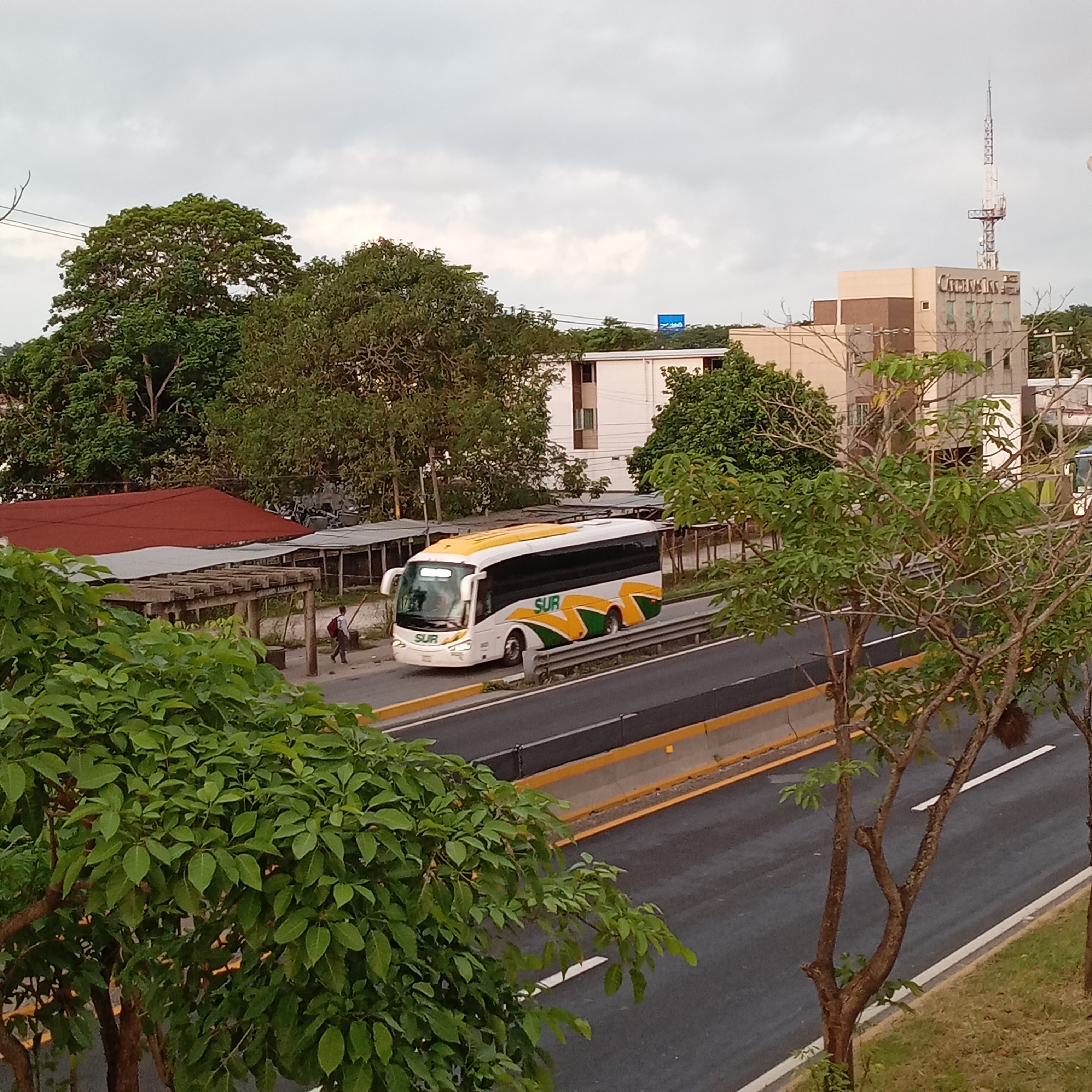 La Aliteria image 10