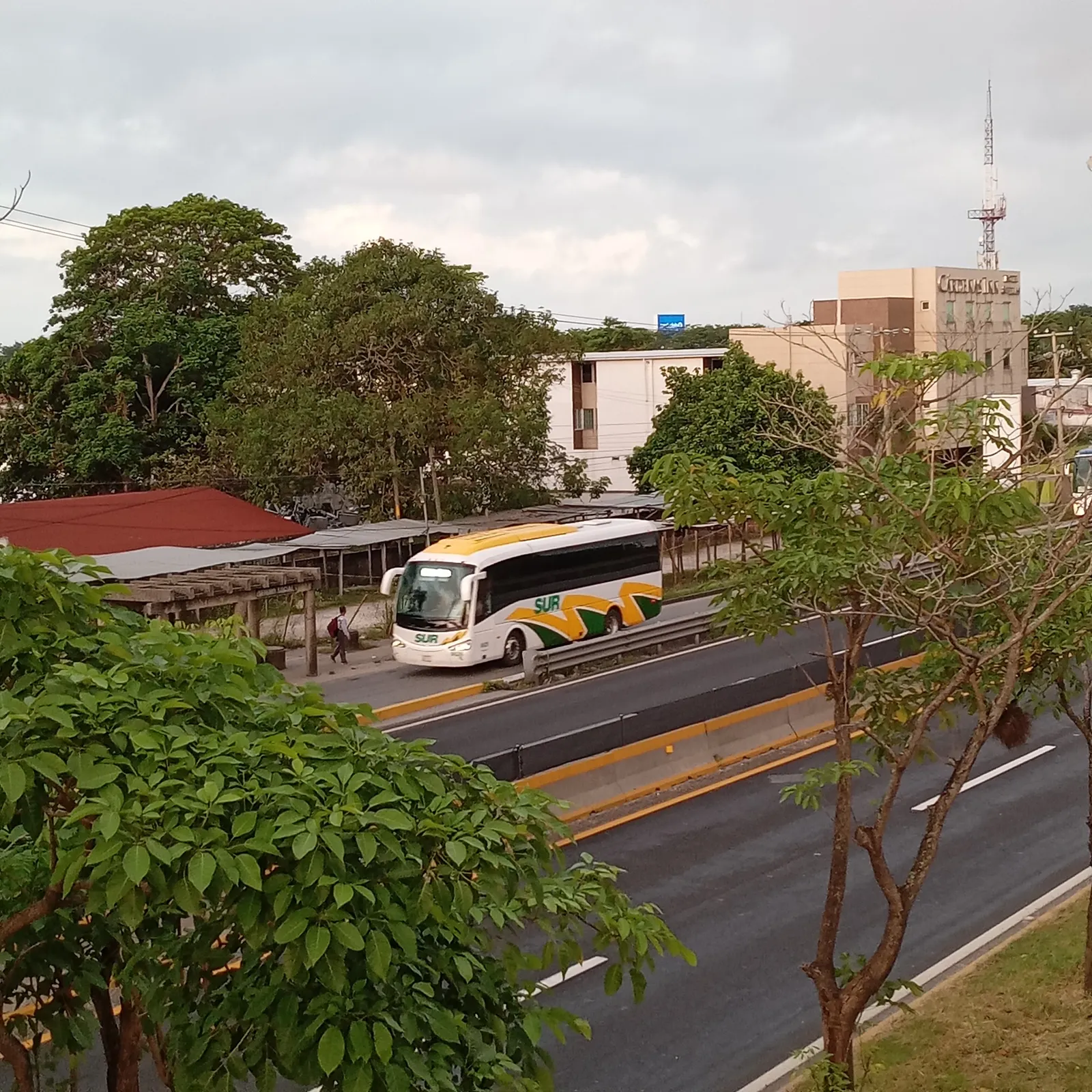 La Aliteria image 10