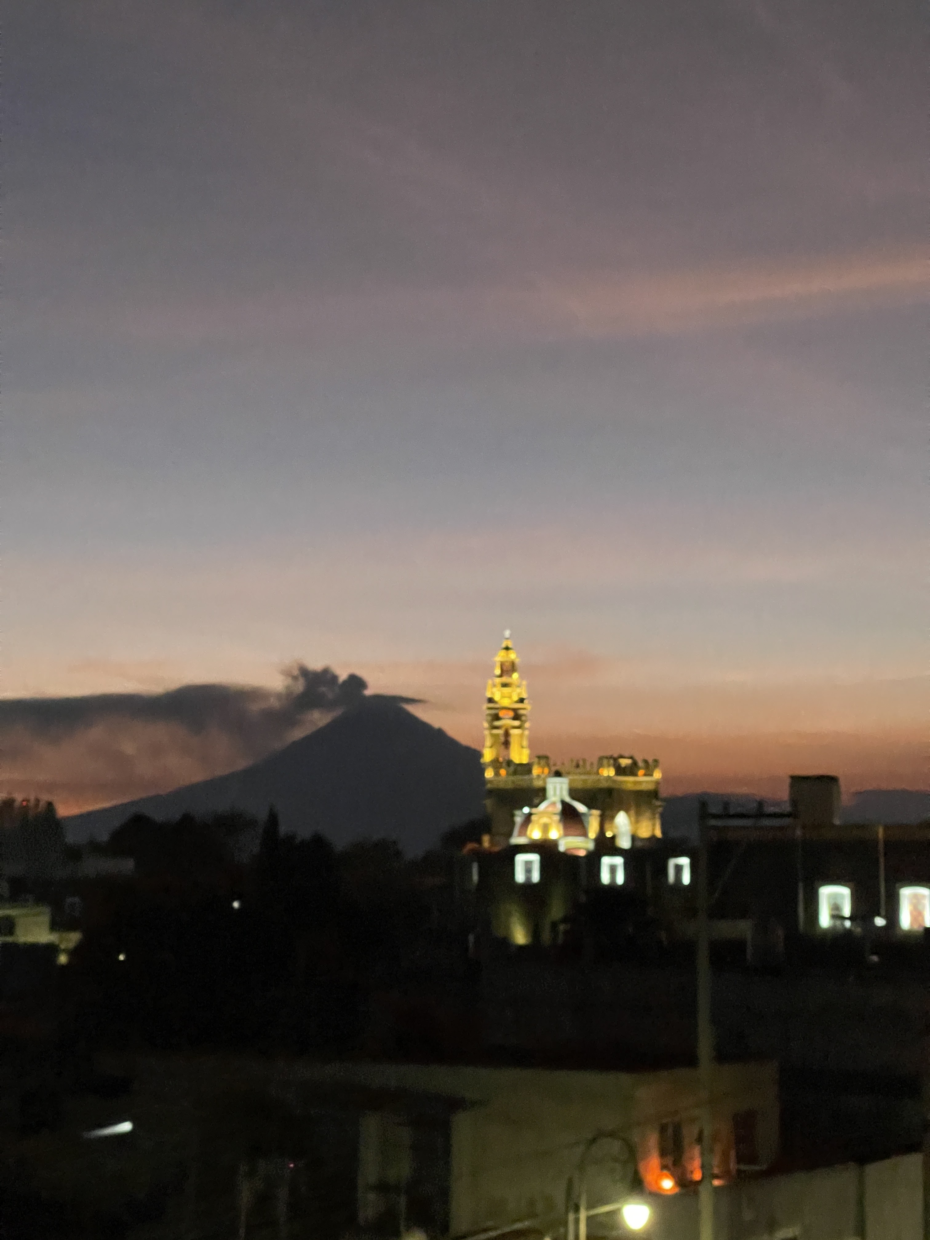 Cus Cus Cus image 10