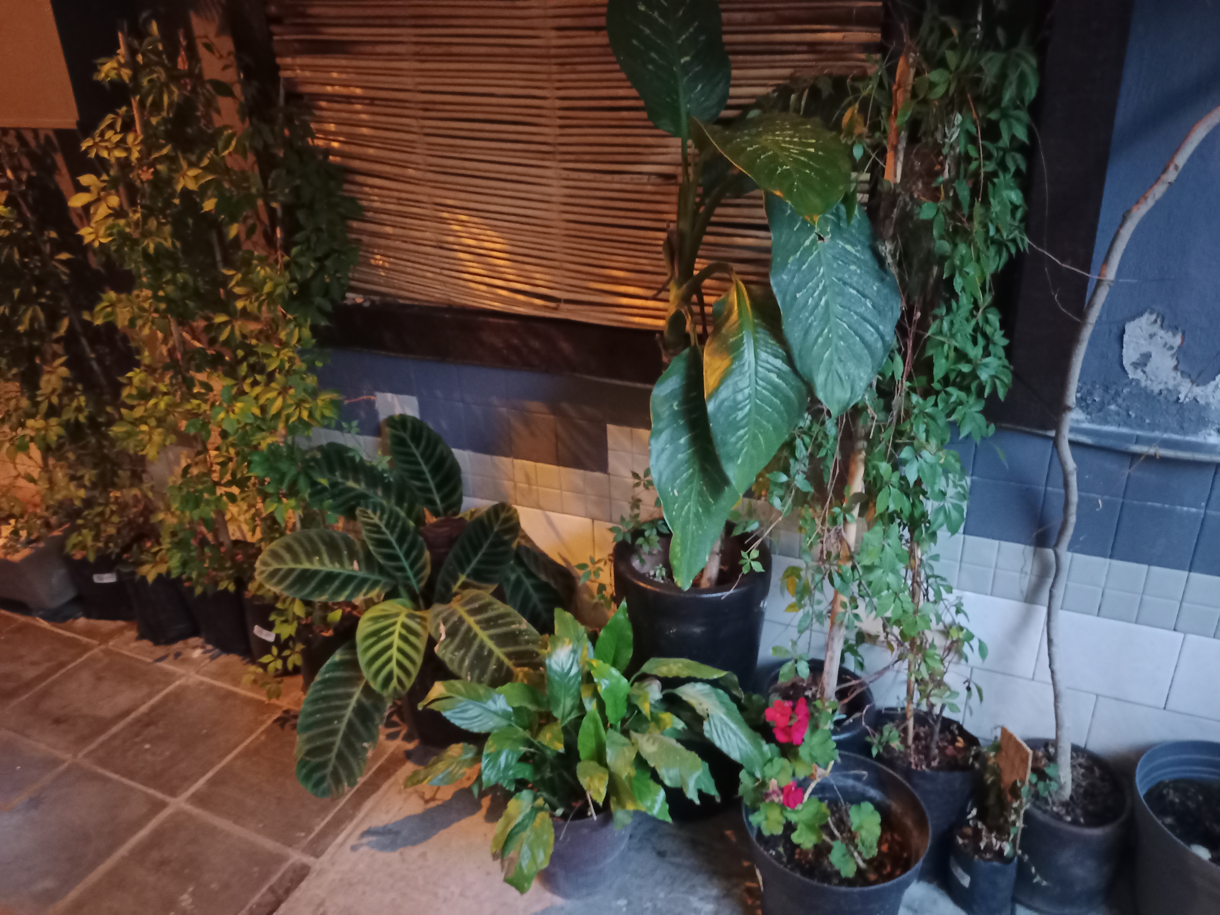 Valiente Kitchen Bar image 10