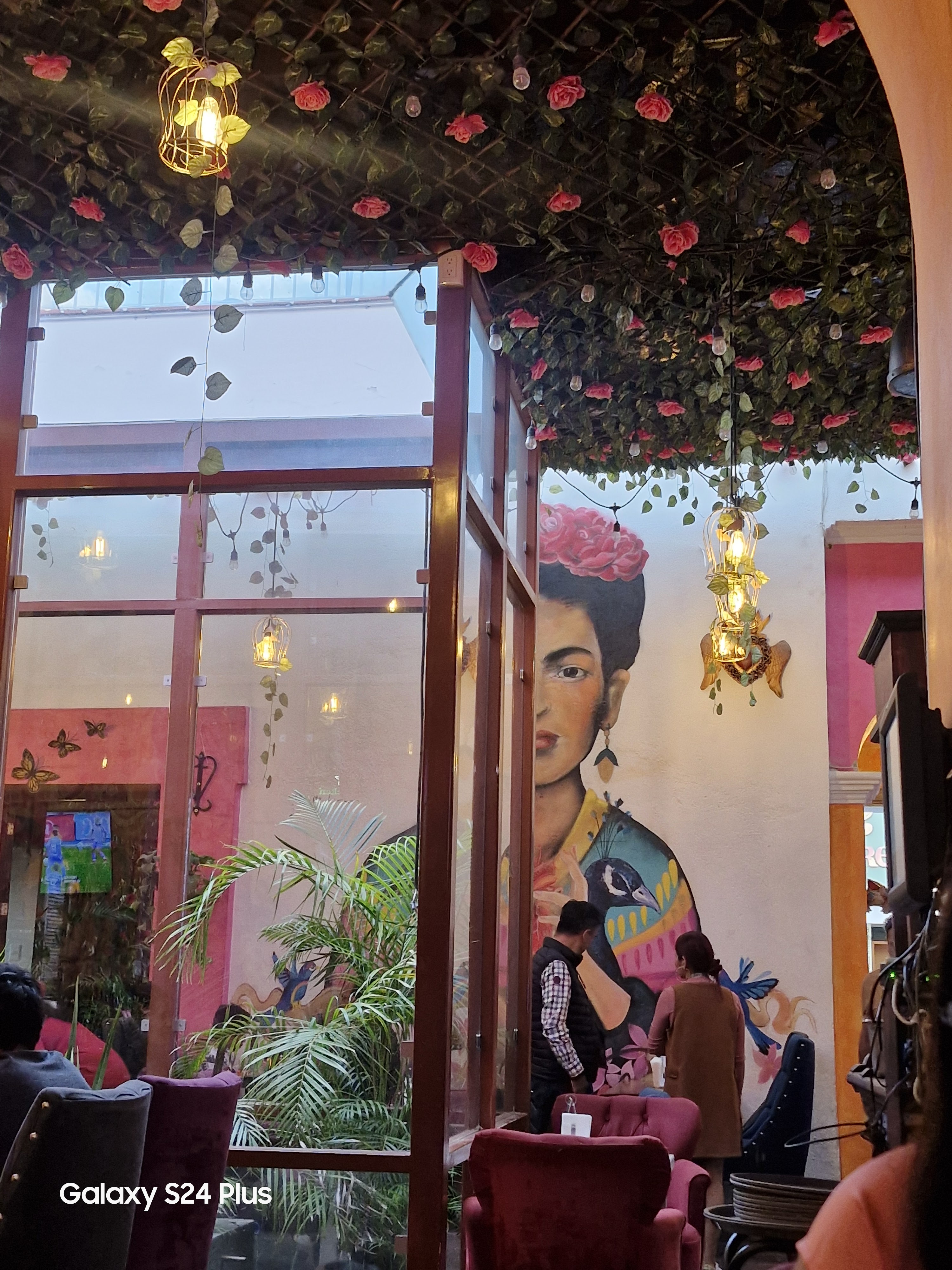 Sufrida Cholula image 3