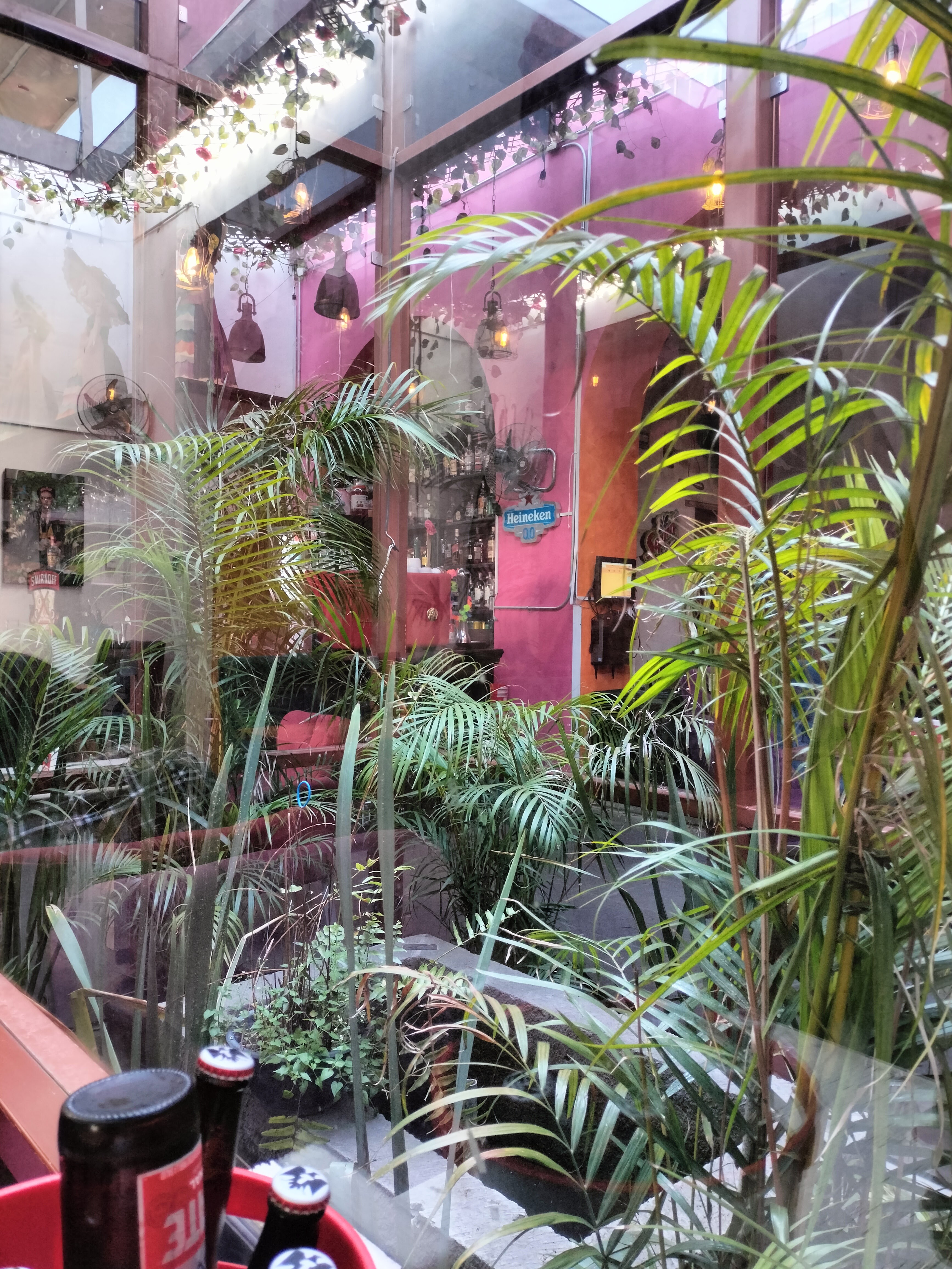 Sufrida Cholula image 6