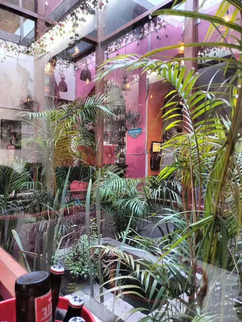 Sufrida Cholula image 6