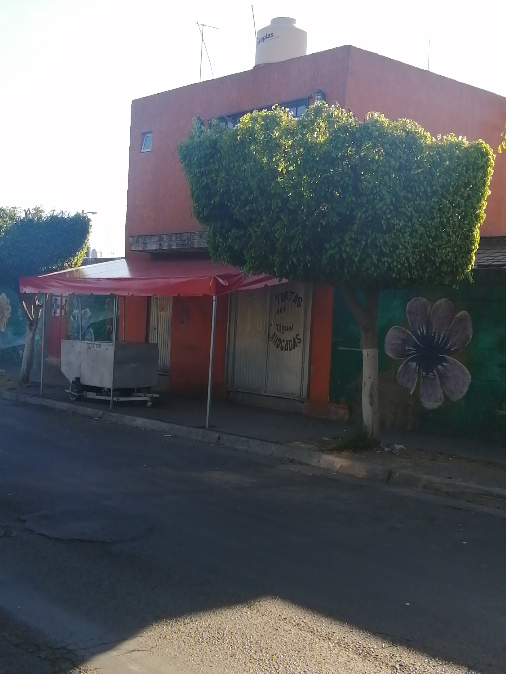 Tortas Ahogadas San Miguel image 4