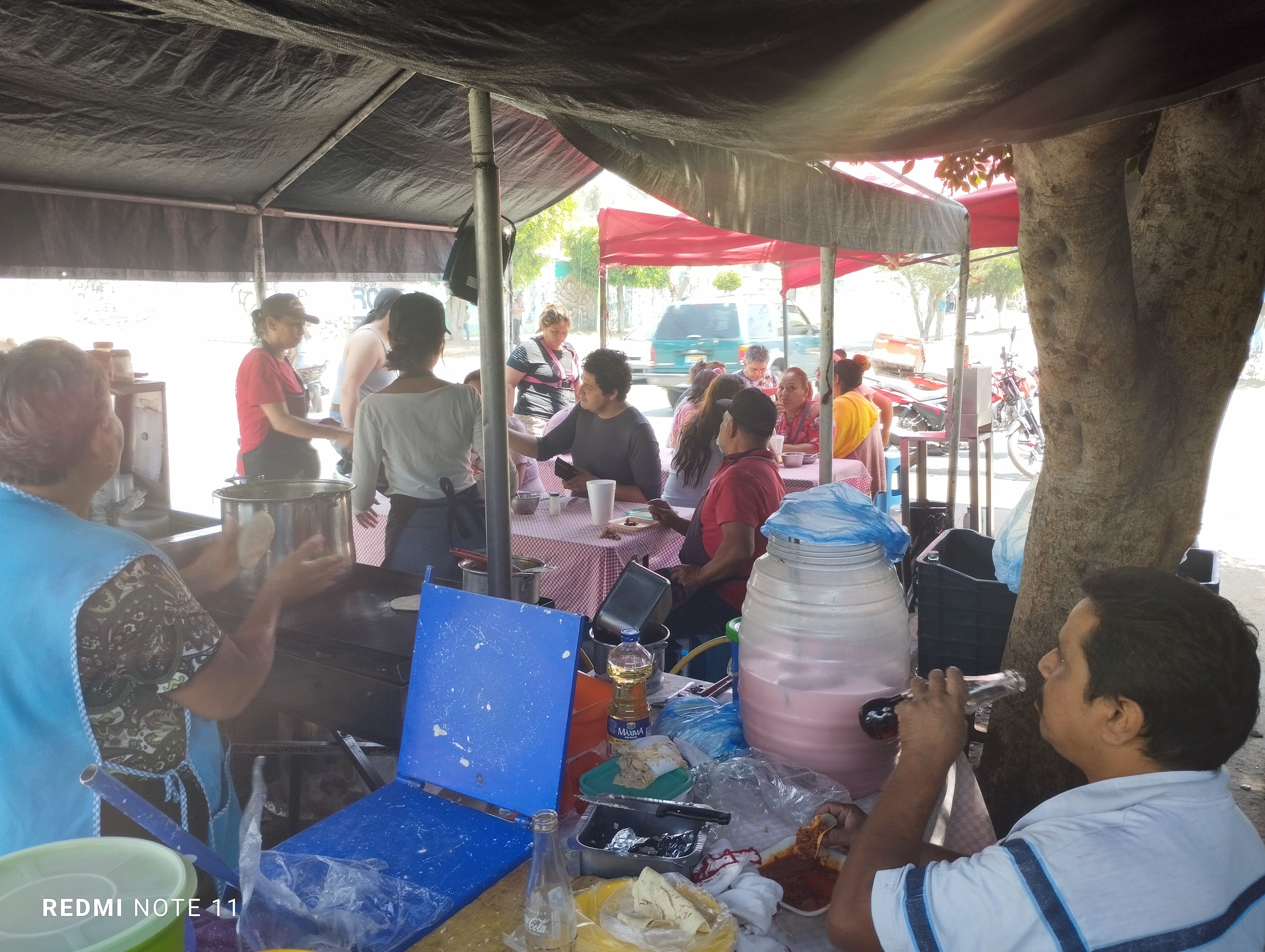 TACOS DE BARBACOA SOLMAY + CRUISING image 10