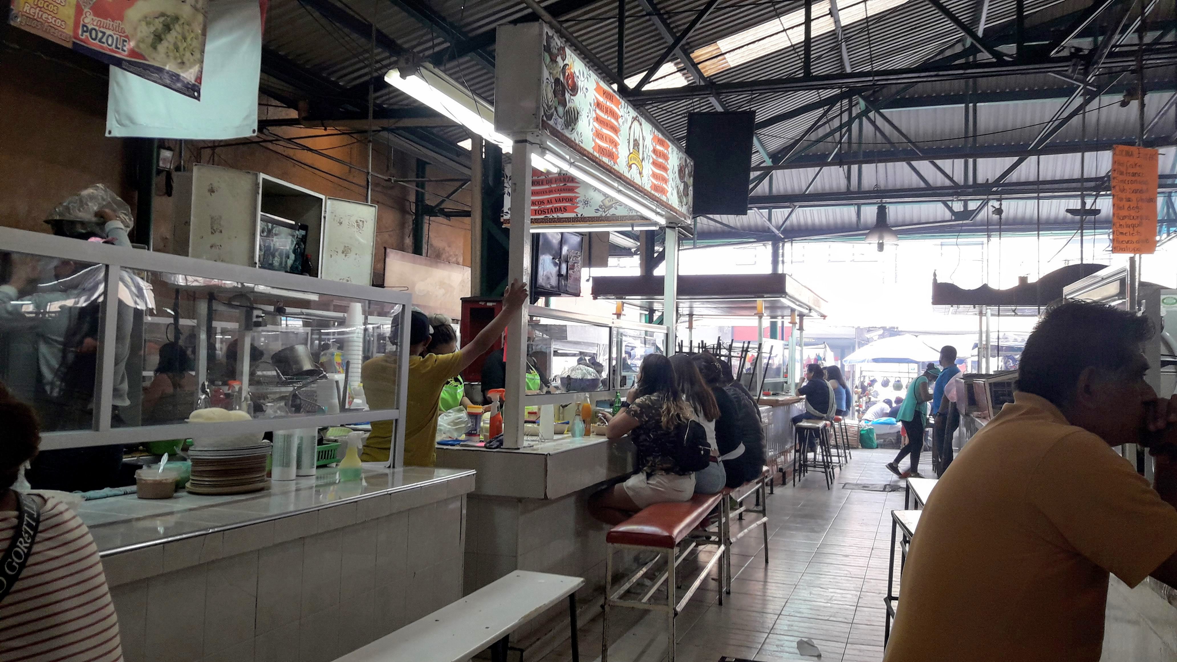 Cecina marcia image 1