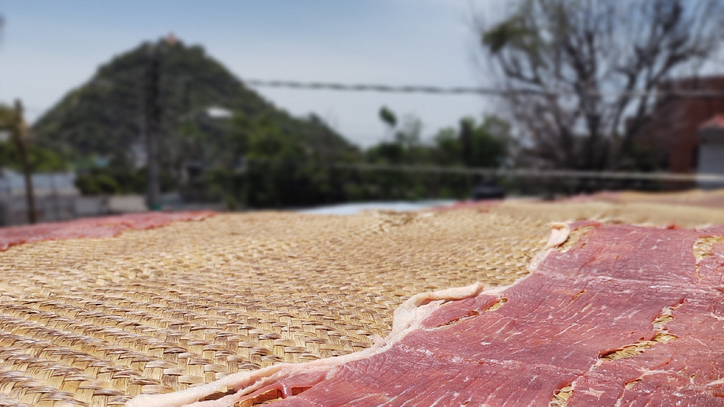 Cecina marcia image 3