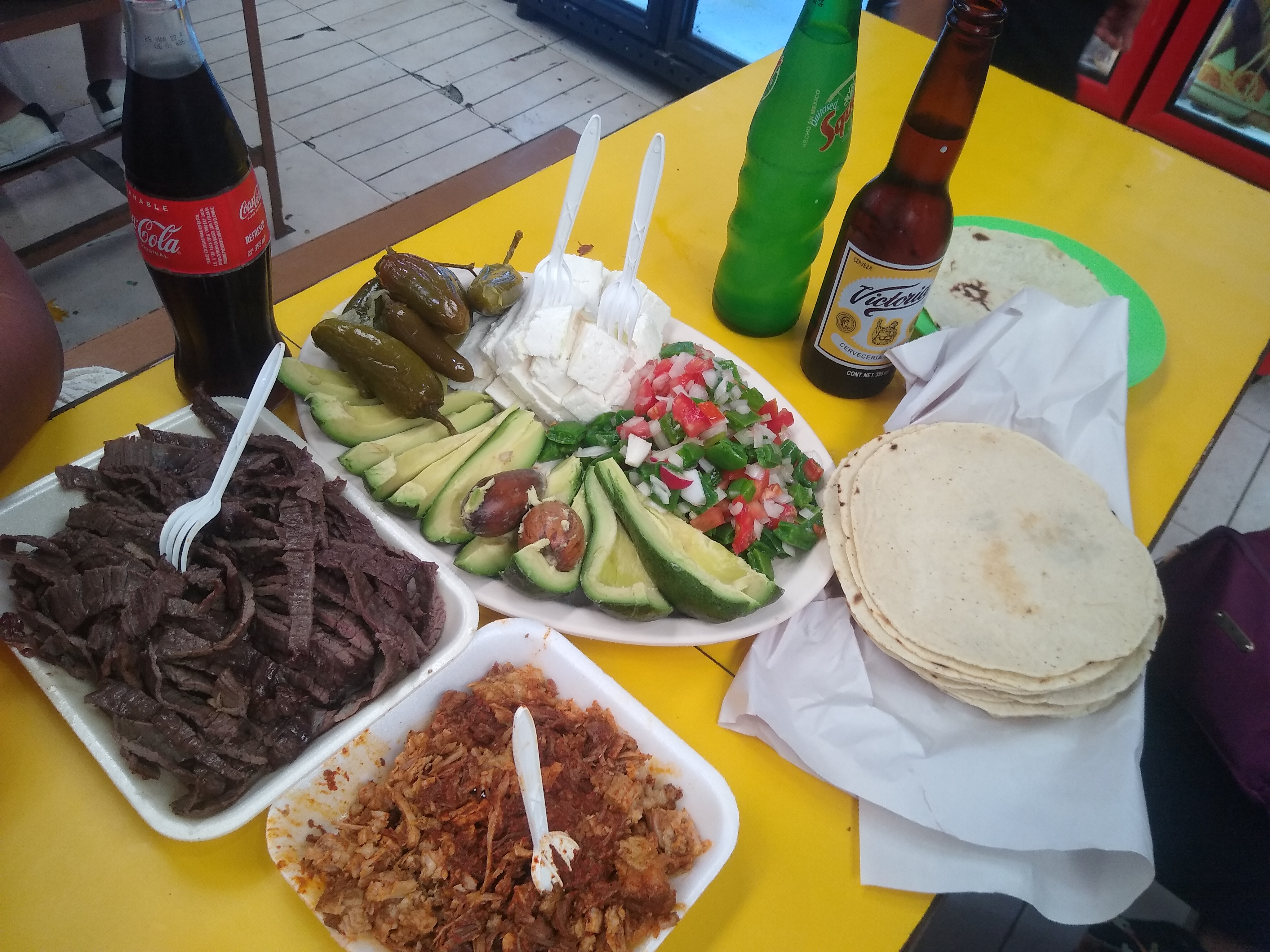 Cecina marcia image 4