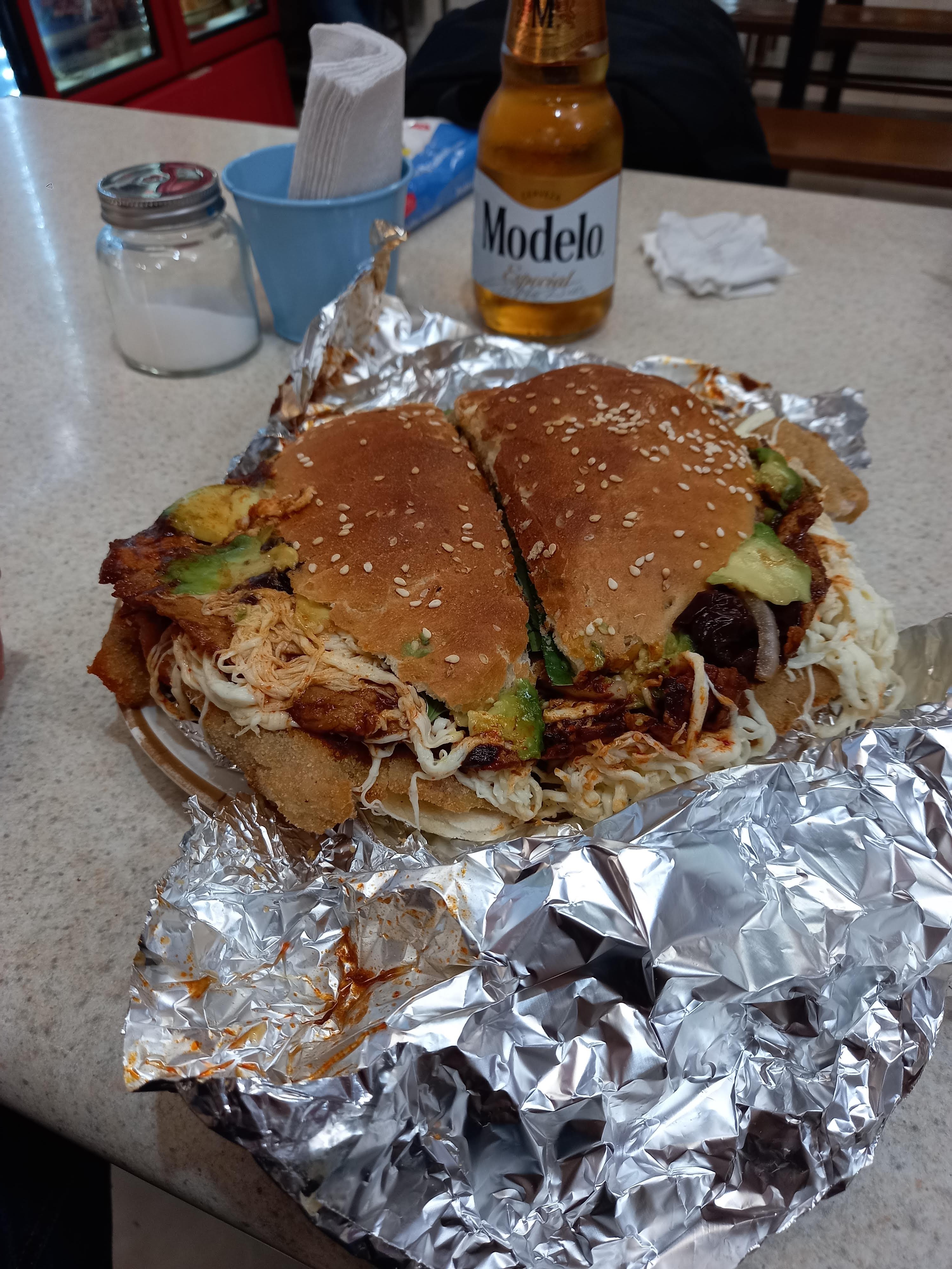 Cecina marcia image 8