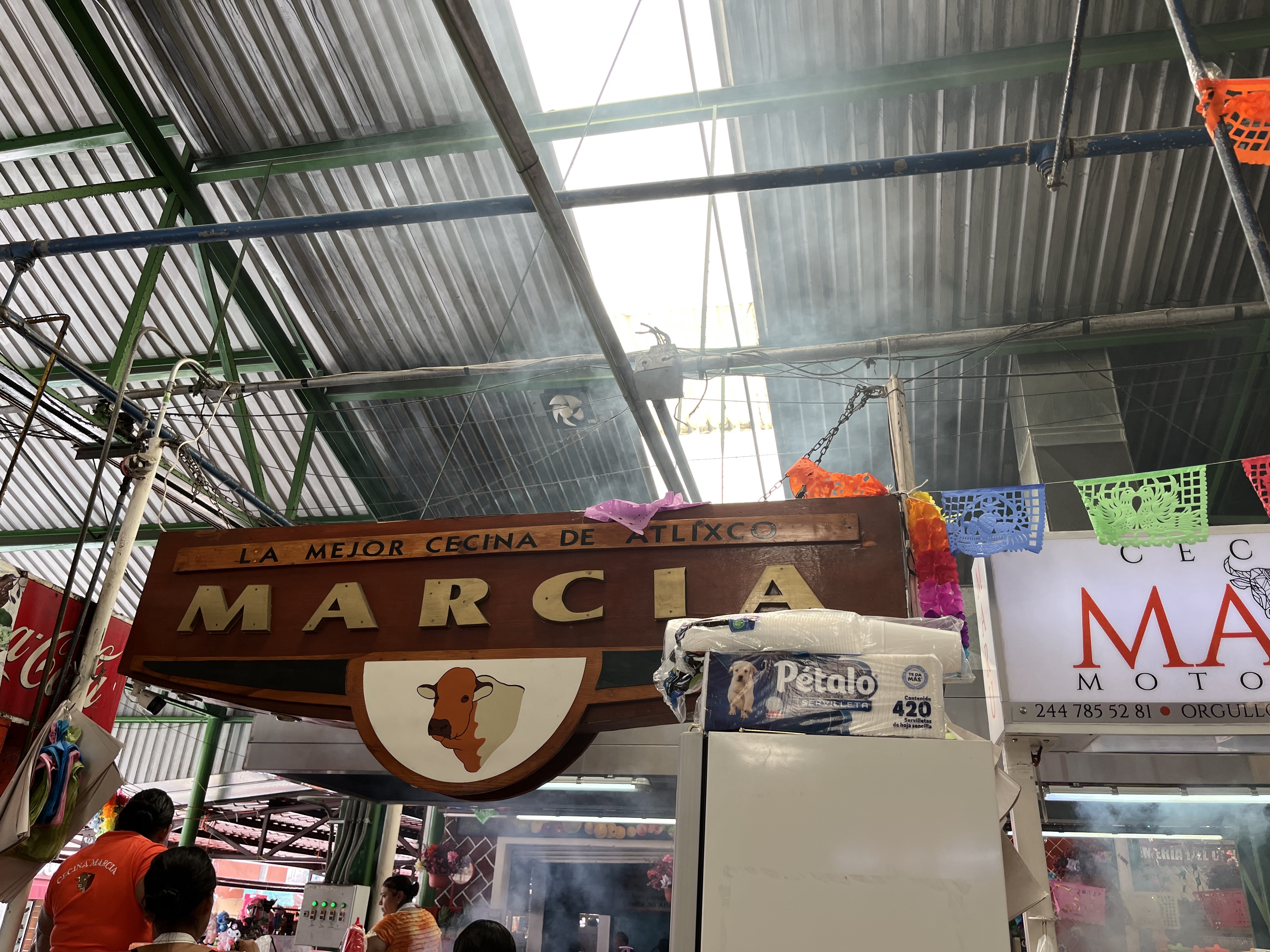 Cecina marcia image 9