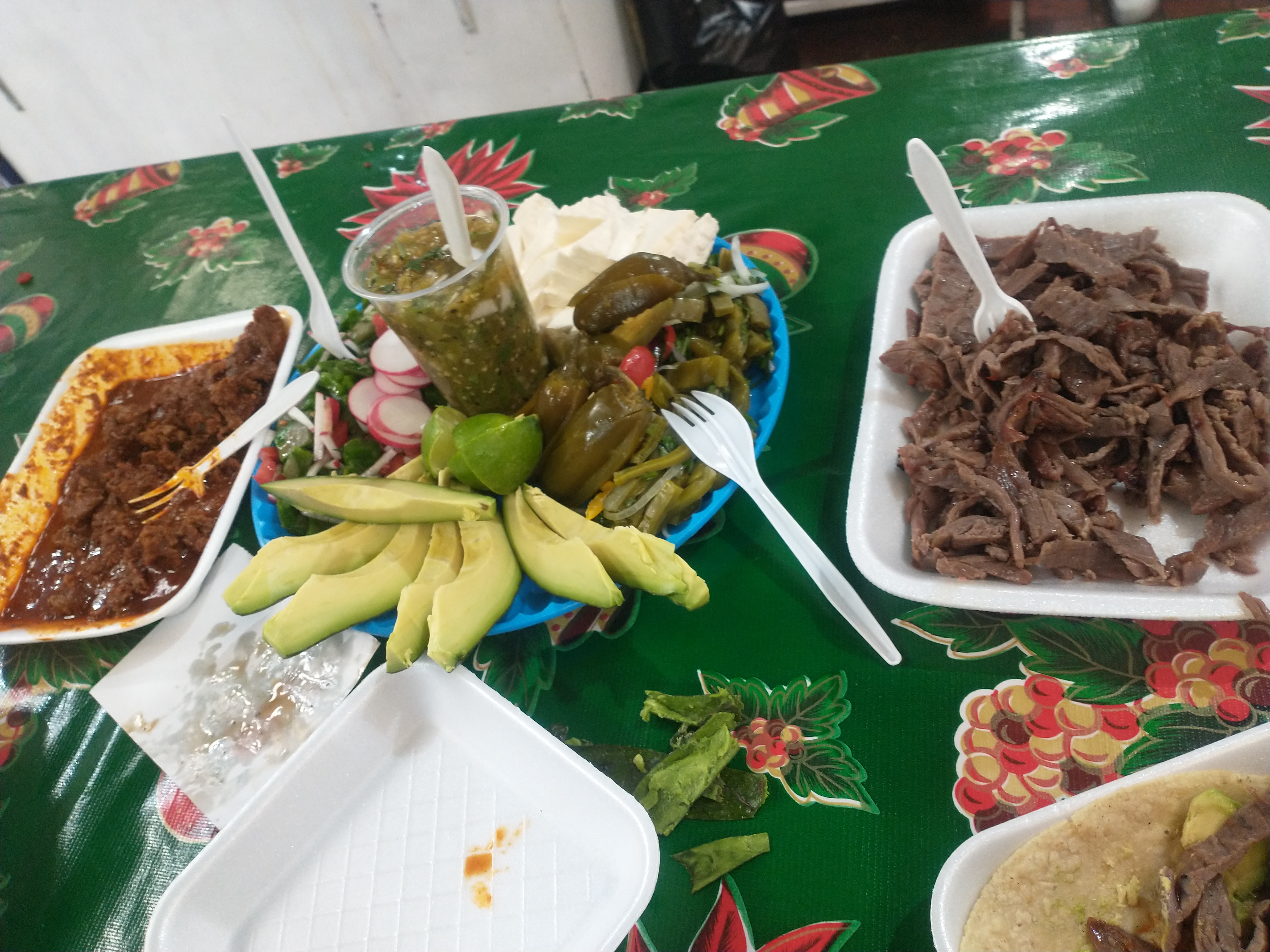 Cecina Silvia image 1