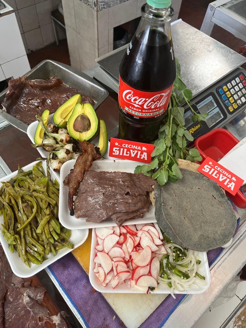 Cecina Silvia image 3