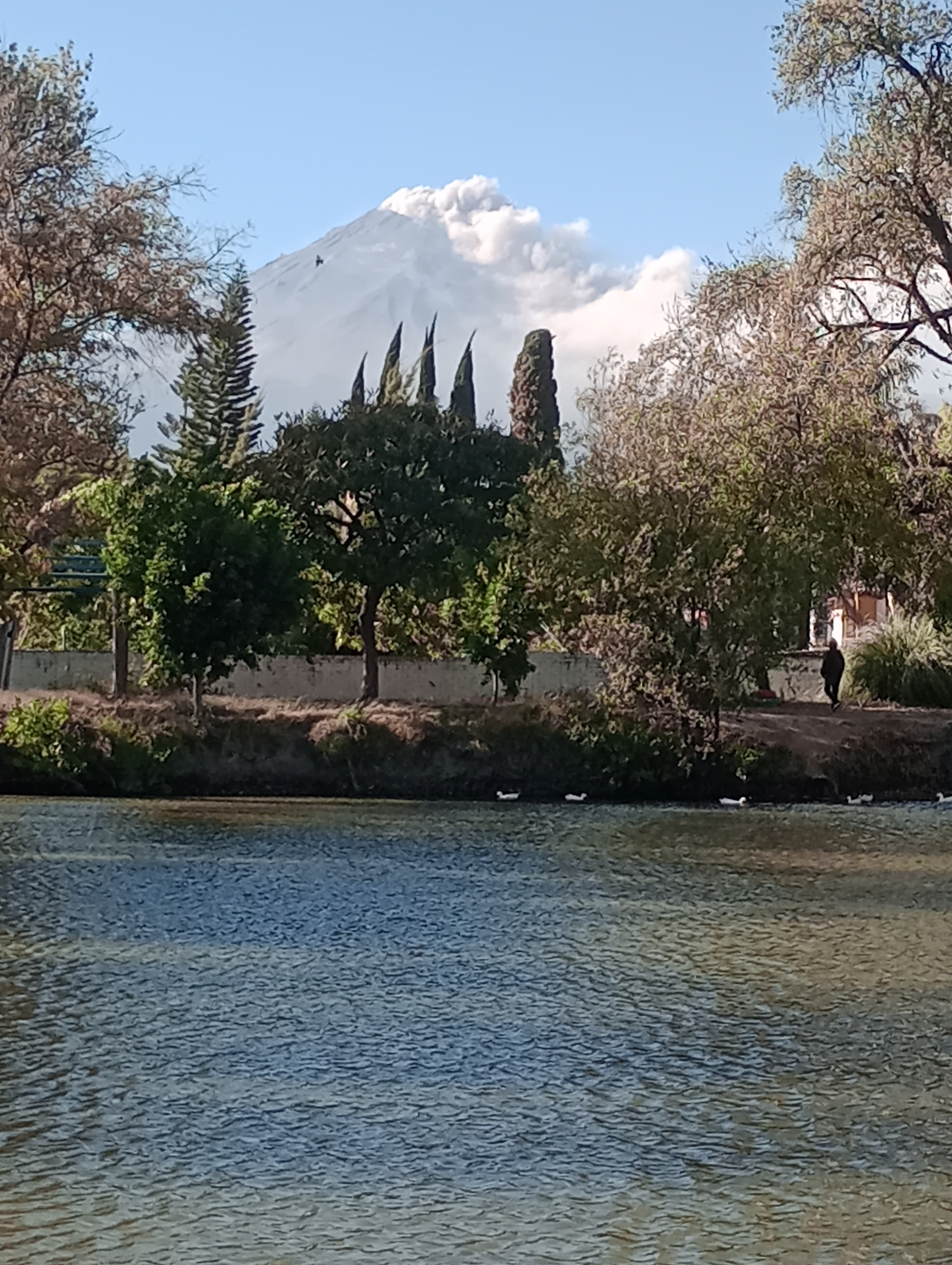 Cecina Silvia image 7