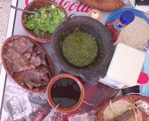 Cecina Silvia image 8