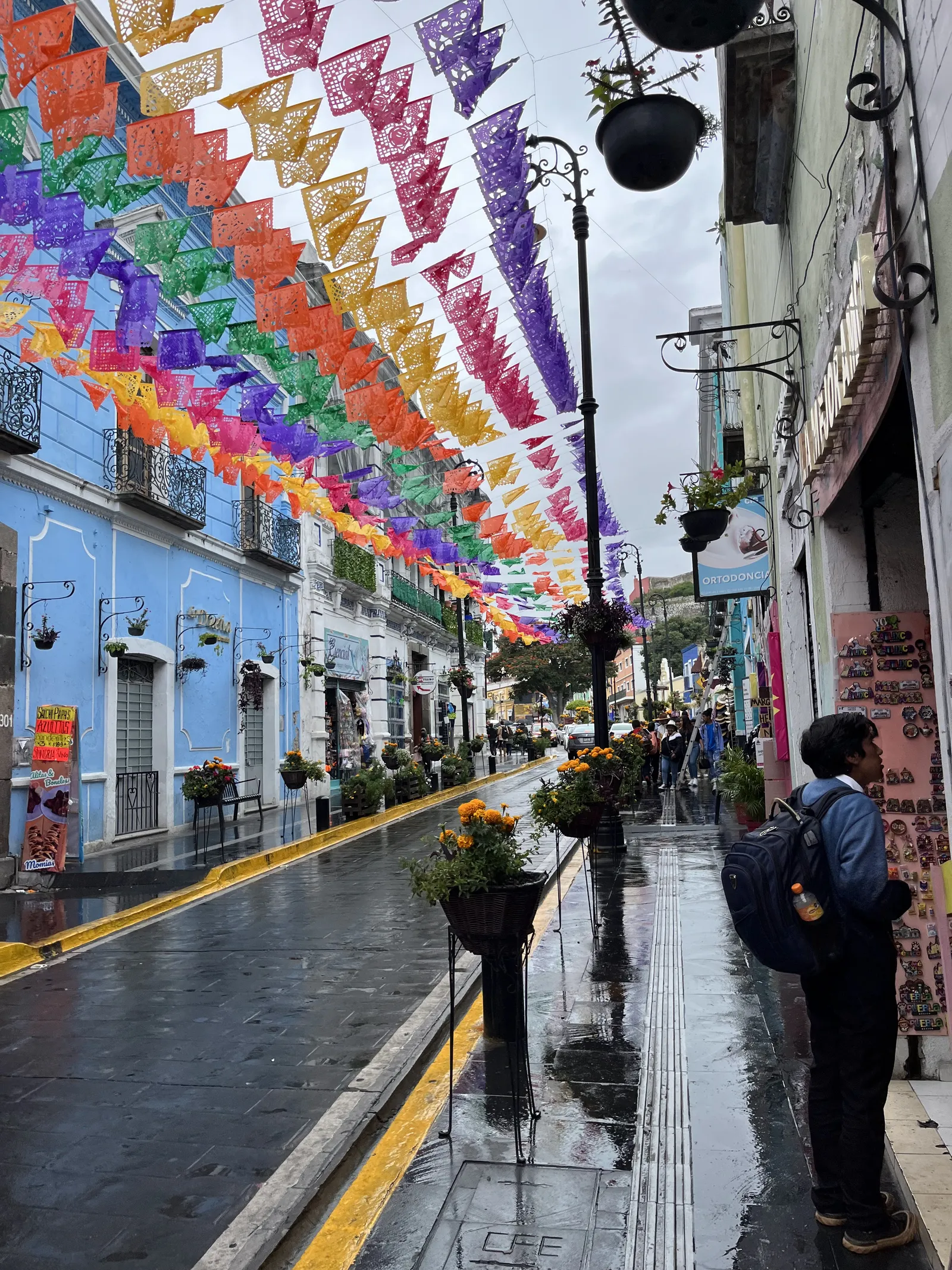 La Dueña image 5