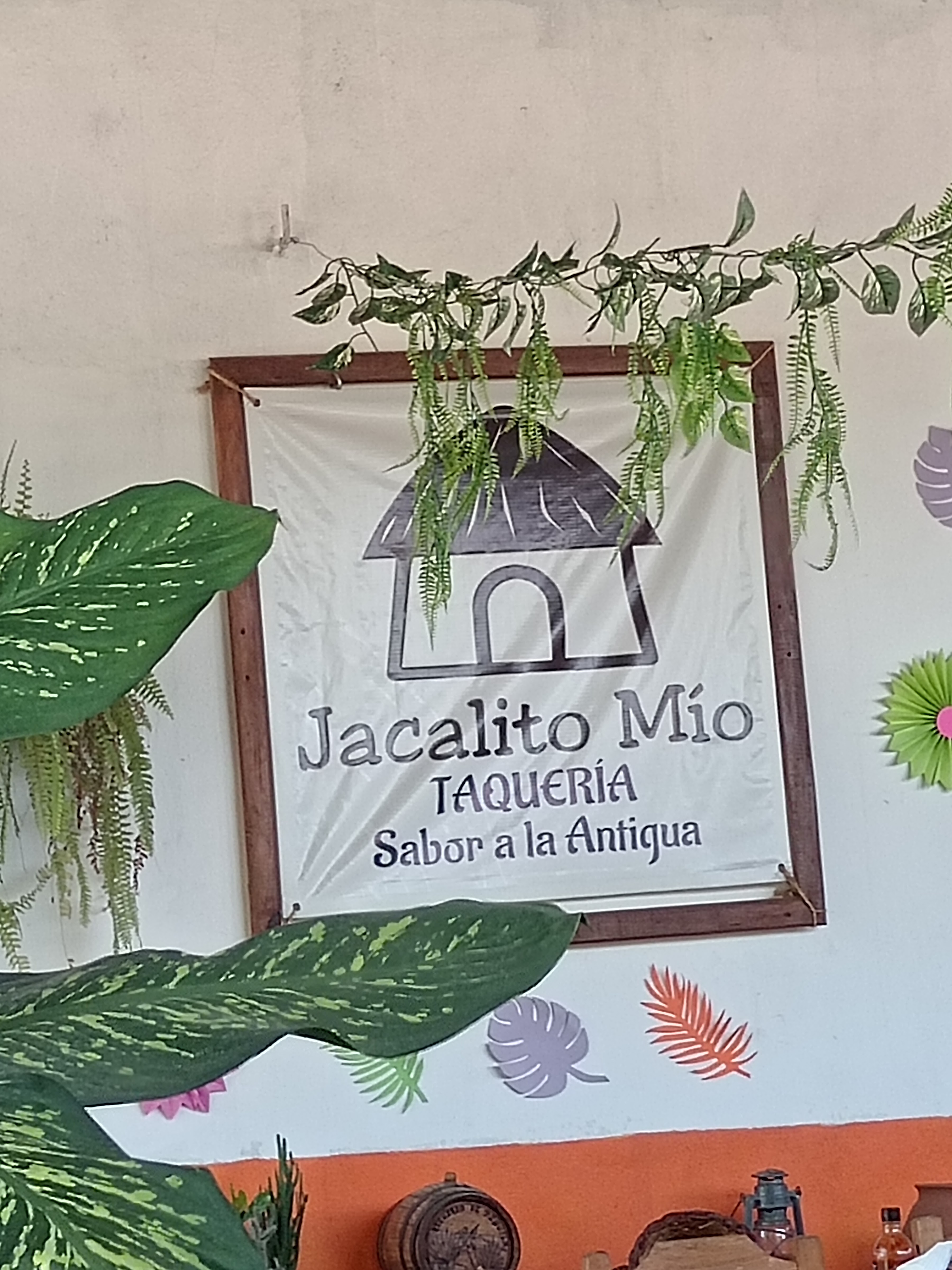 Jacalito Mío image 7