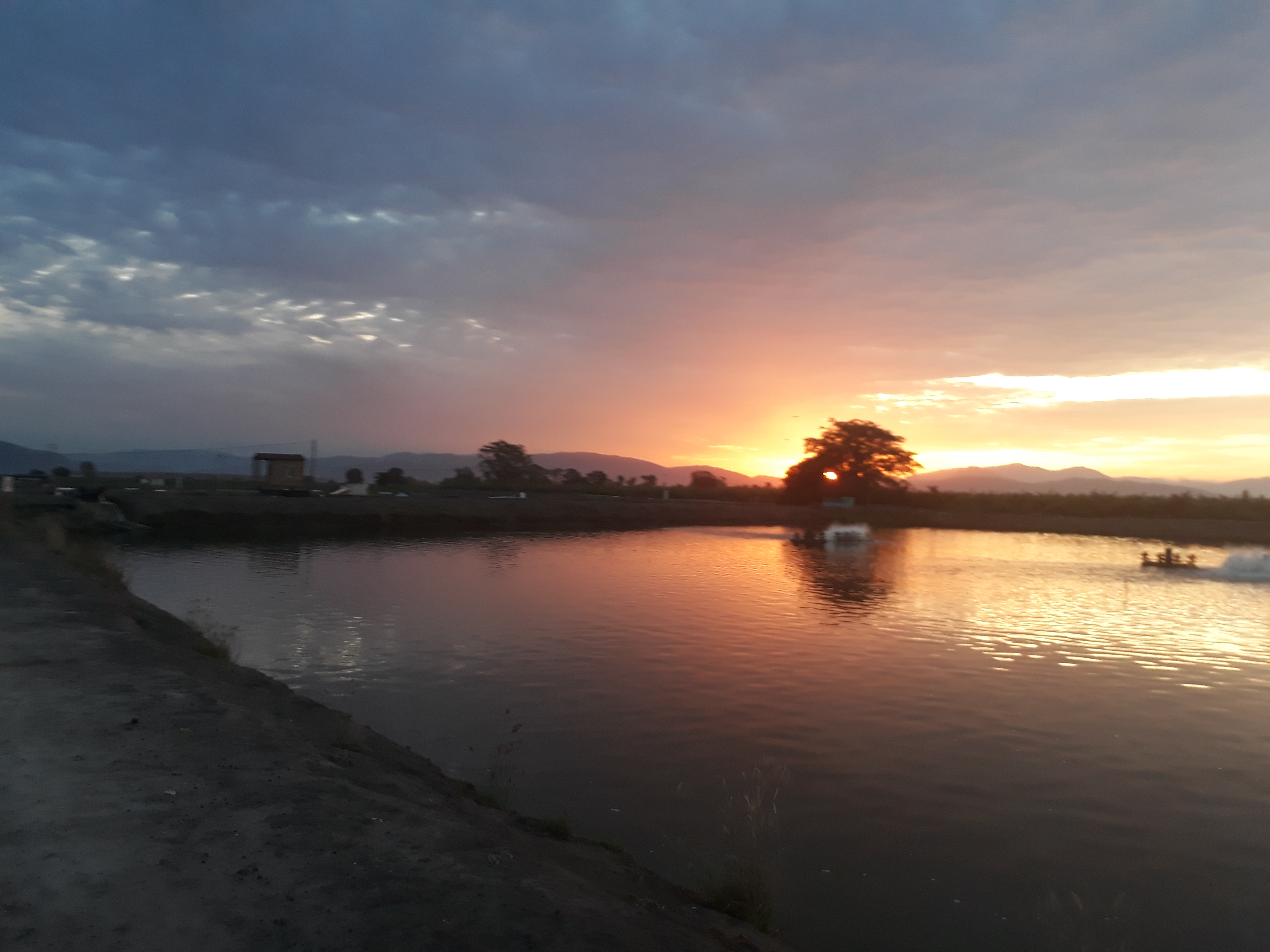 Tacos "Las Cazuelitas" image 10