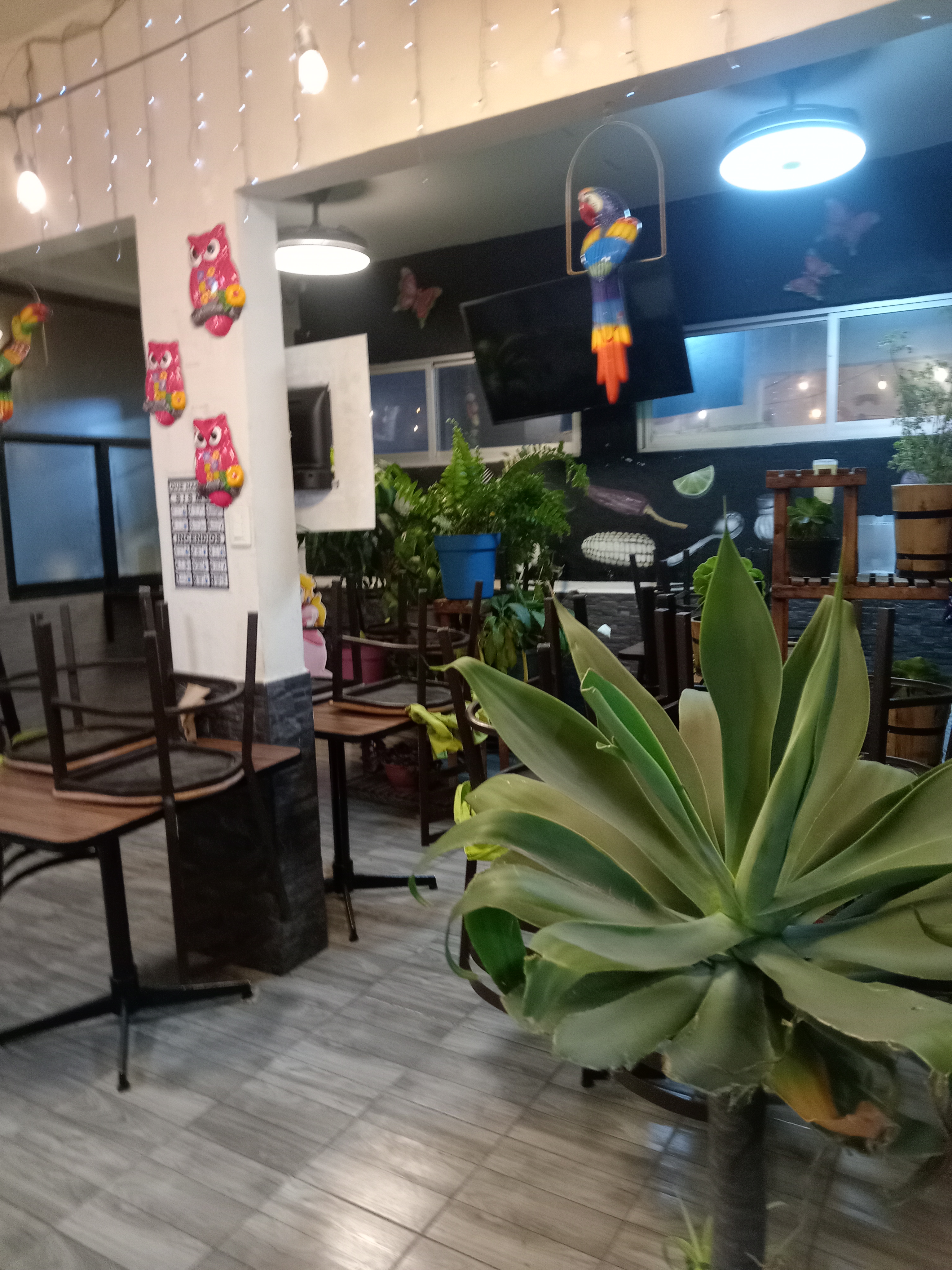 Pozoleria La Mexicana image 5